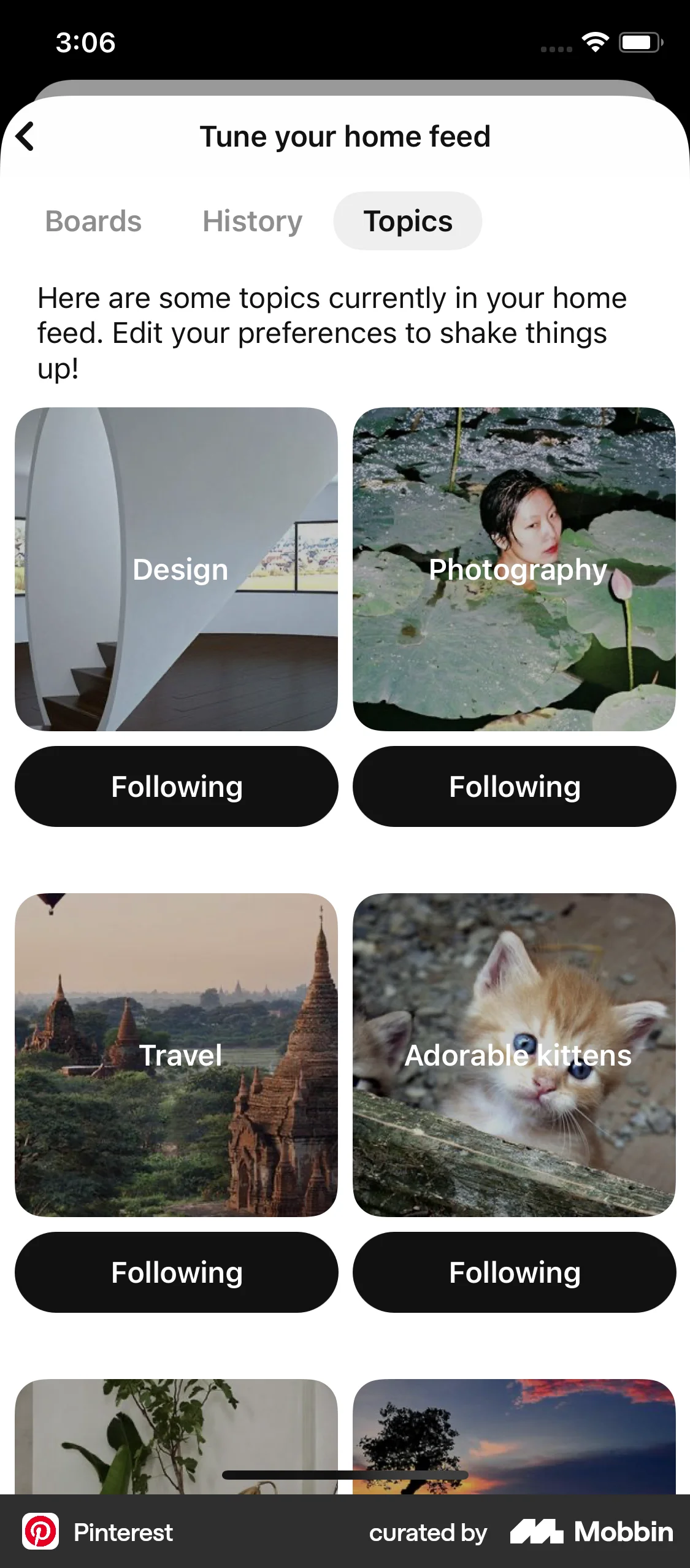 Pinterest iOS Followers & Following screen