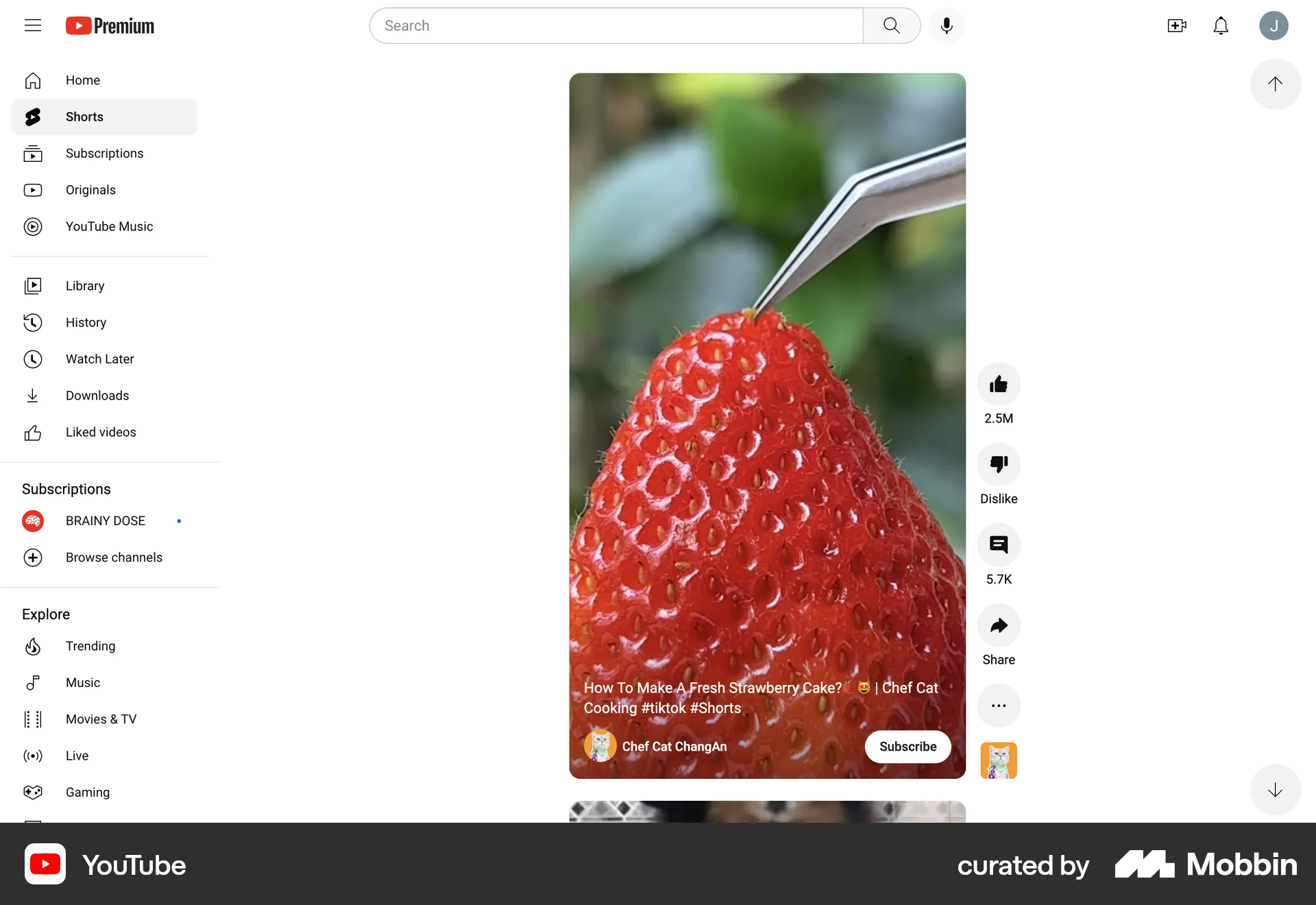 YouTube Web Stories screen