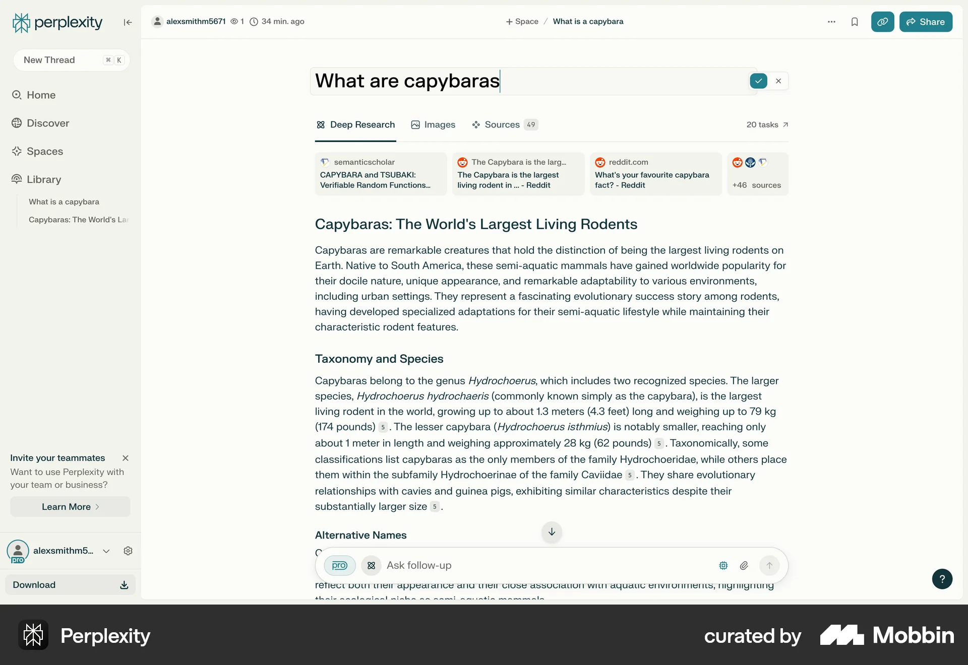 Perplexity Web screen containing Editable Text UI element