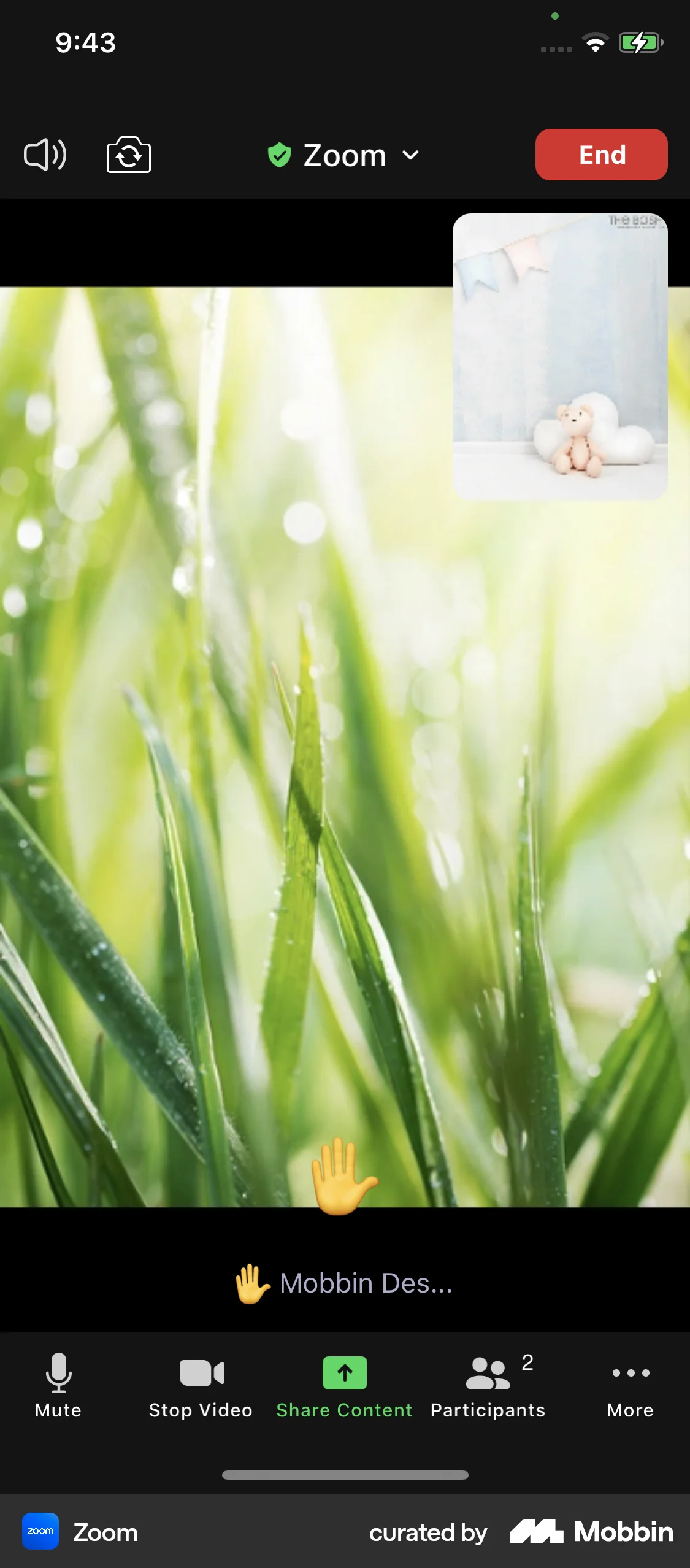 Zoom iOS Call screen