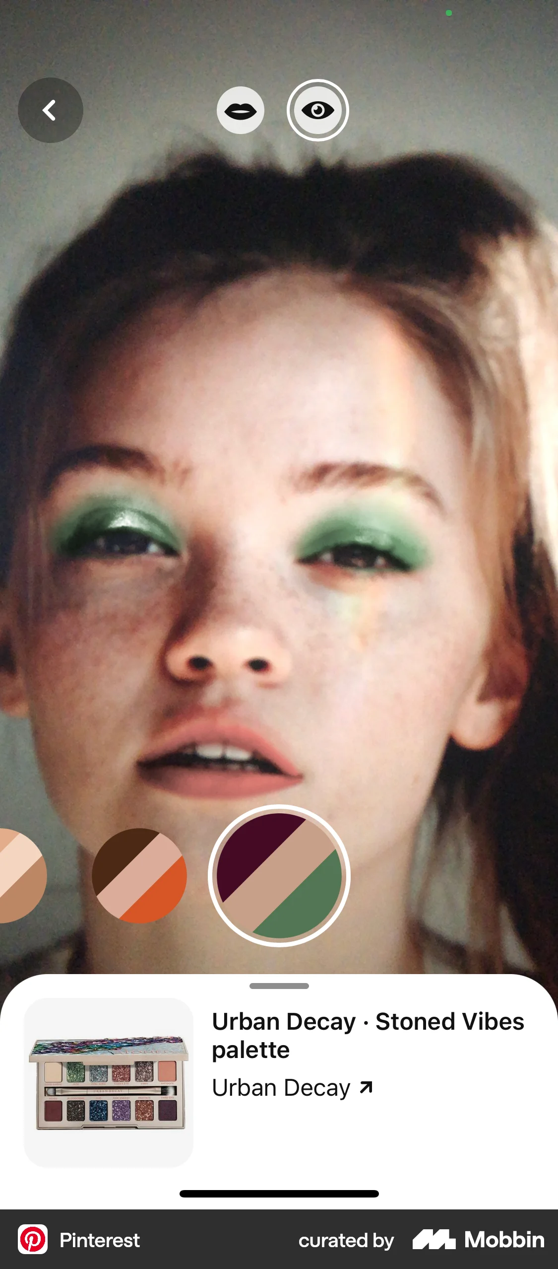 Pinterest iOS Camera & Scanner screen