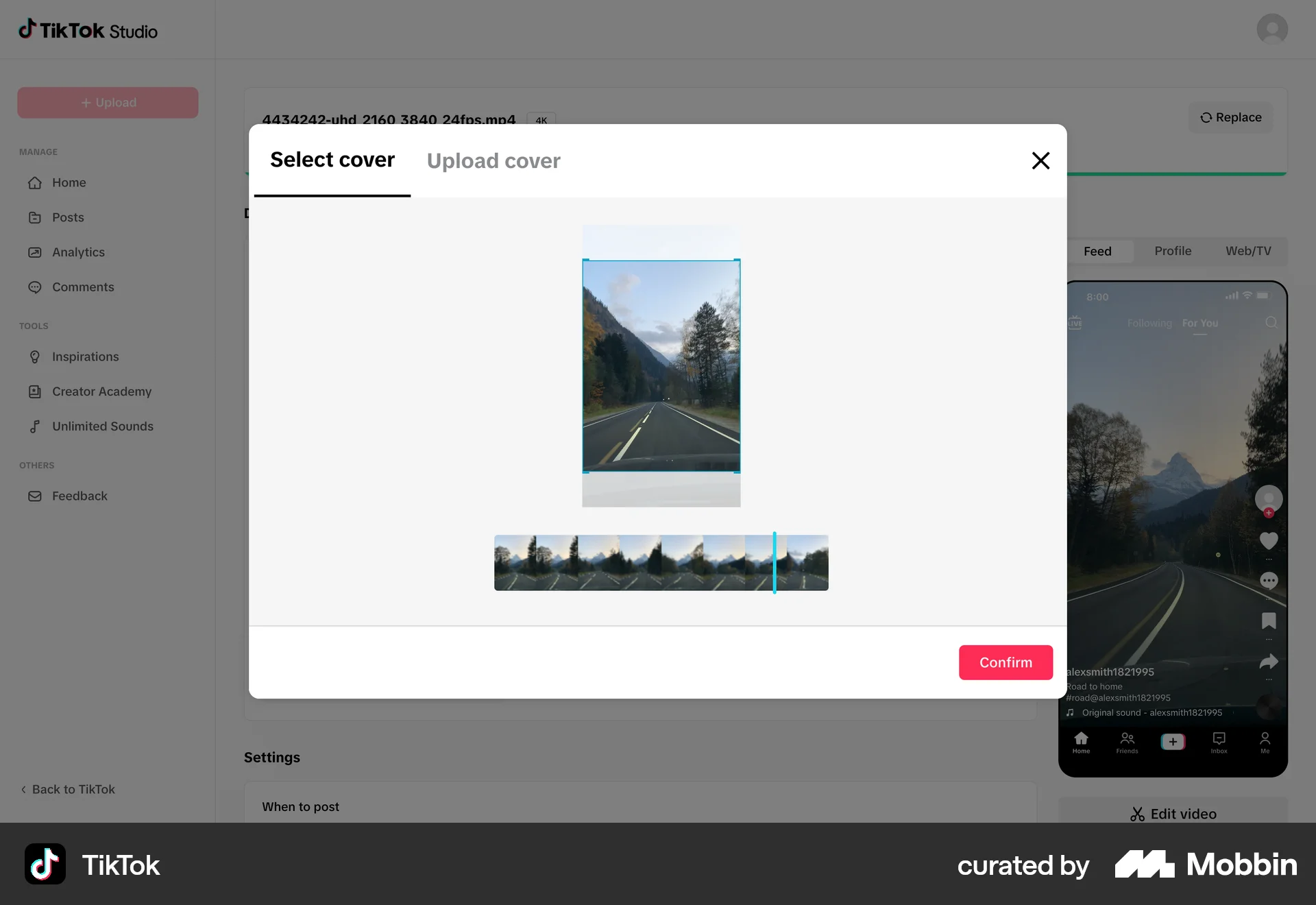 TikTok Web Media Editor screen