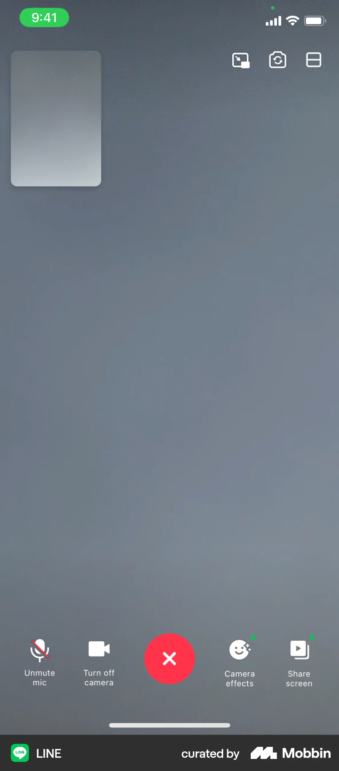 LINE iOS Call screen