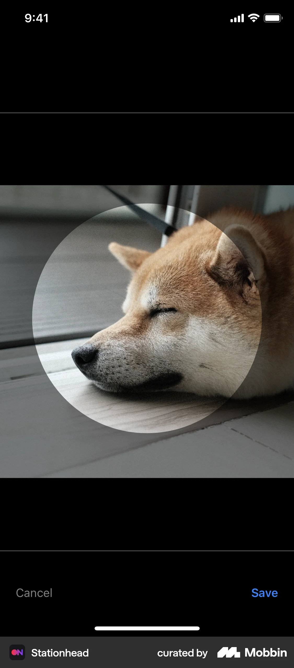 Stationhead iOS Media Editor screen