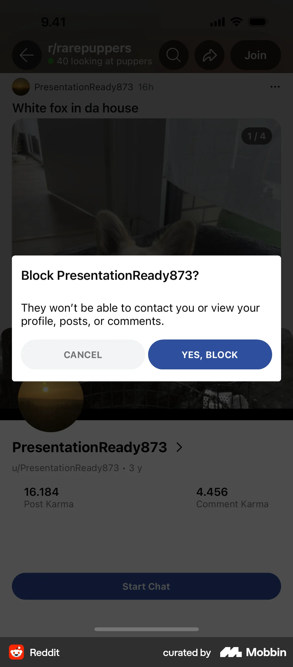 Reddit iOS Ban & Block screen
