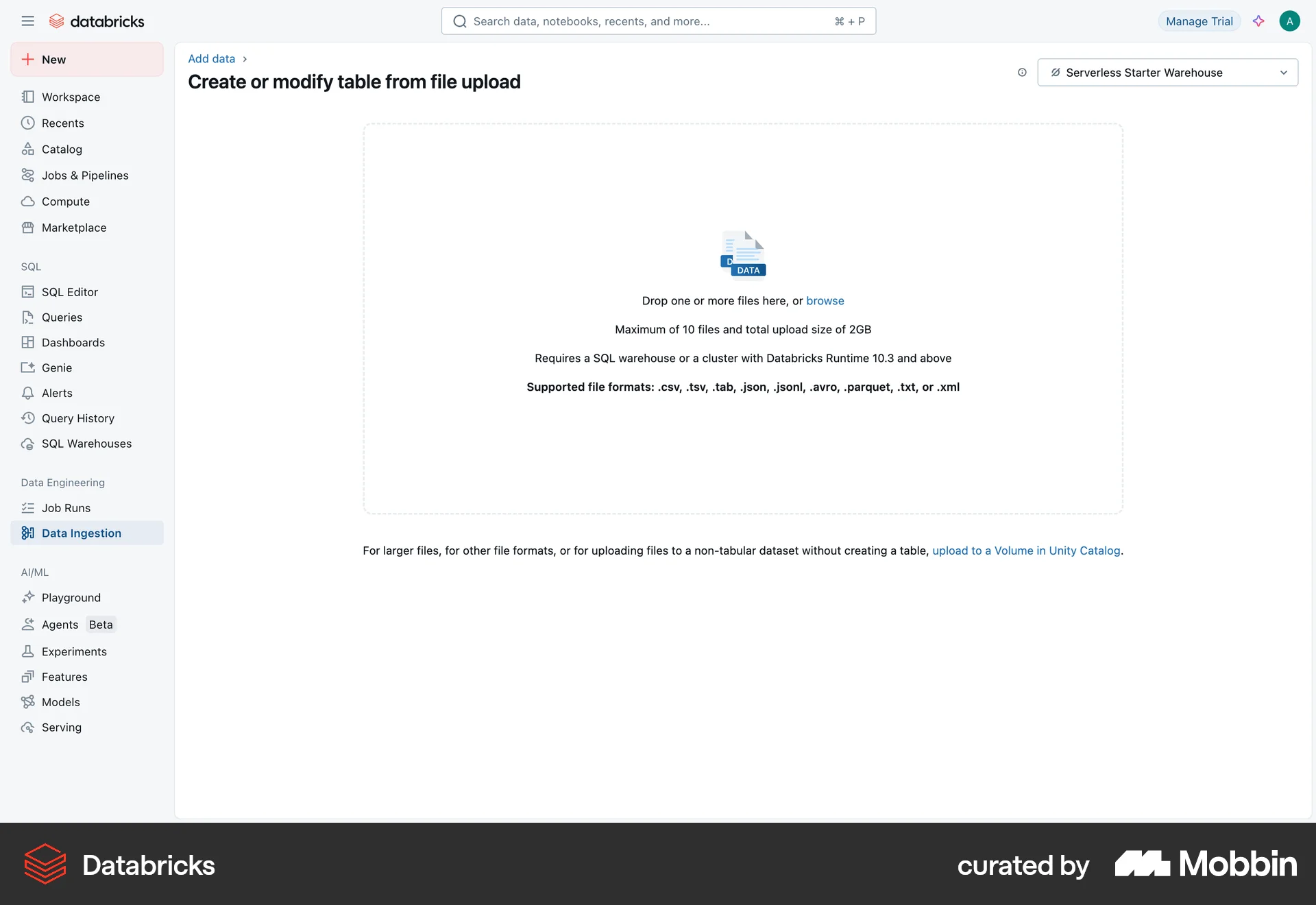 Databricks Web Upload & Download screen
