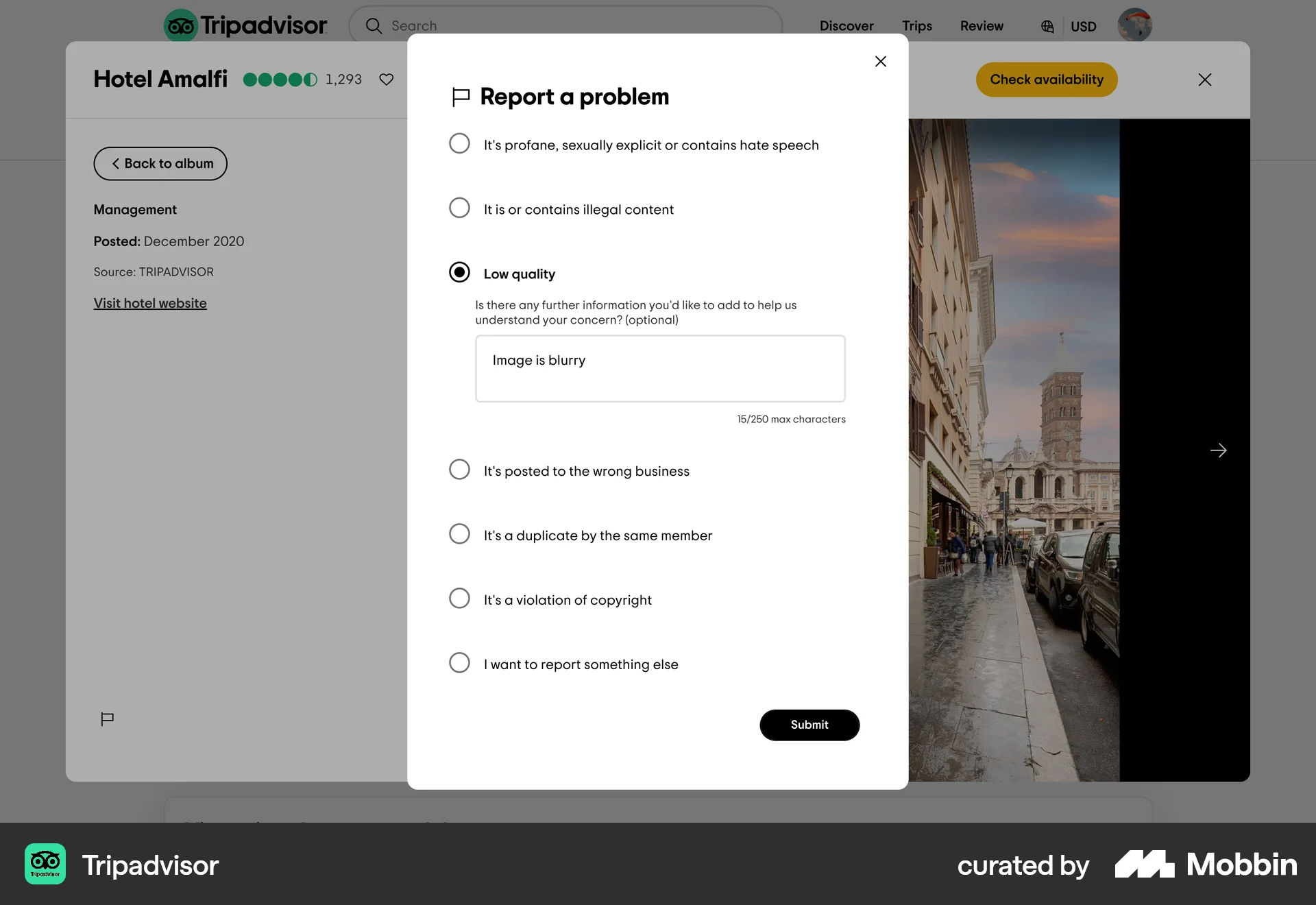 Tripadvisor Web Flag & Report screen
