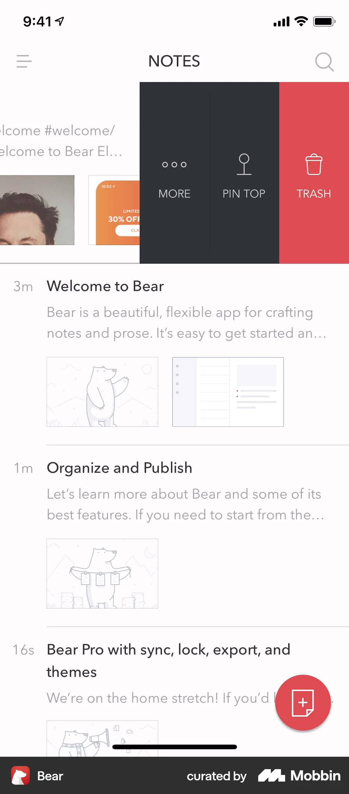 Bear iOS Note Detail screen