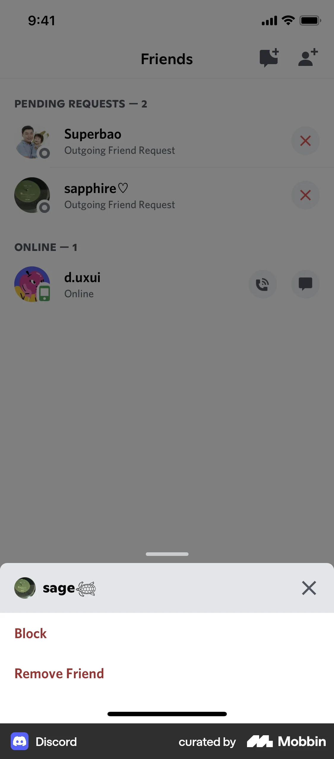 Discord iOS Ban & Block screen