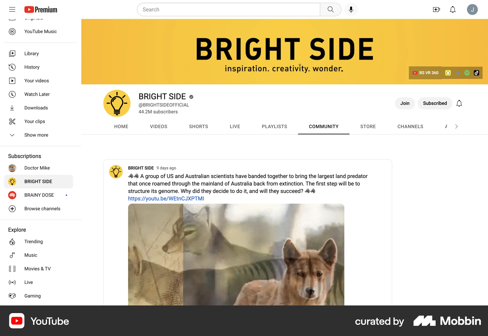 YouTube Web Social Feed screen
