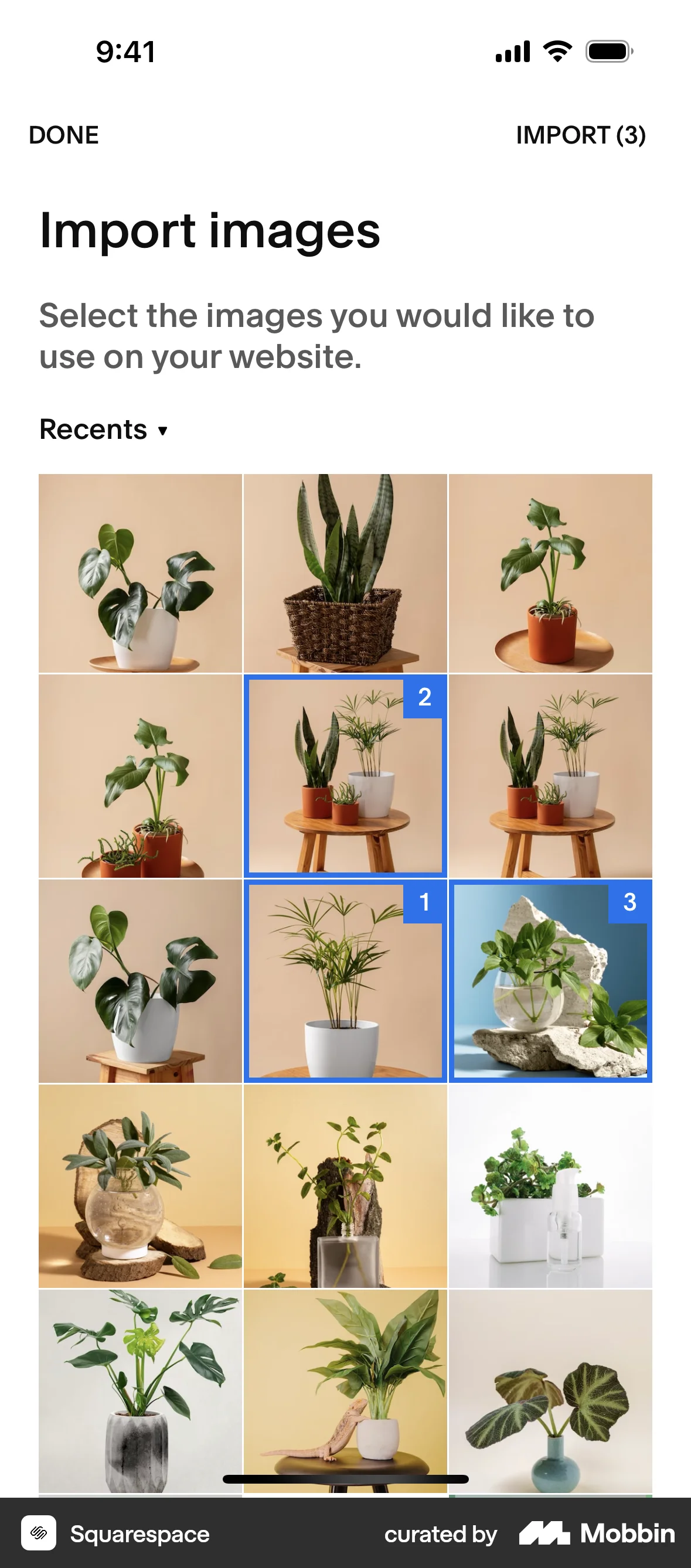 Squarespace iOS Upload & Download screen