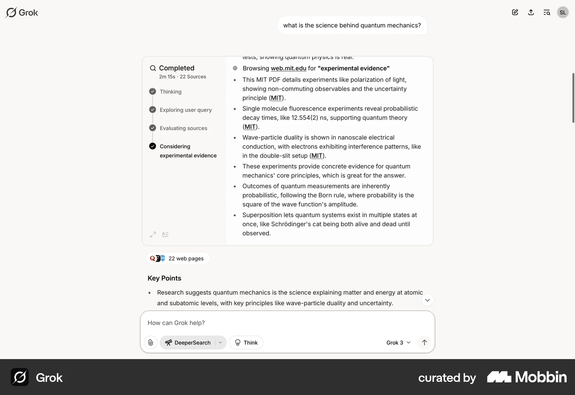 Grok Web Chat Bot screen