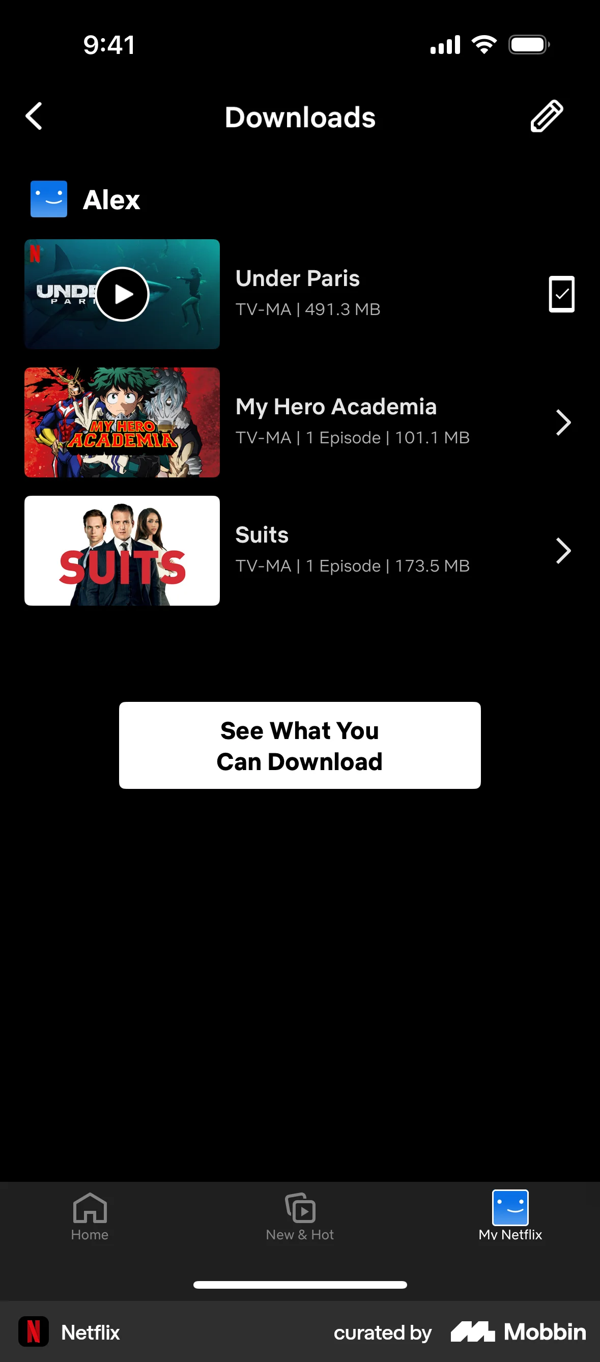 Netflix iOS Downloads & Available Offline screen