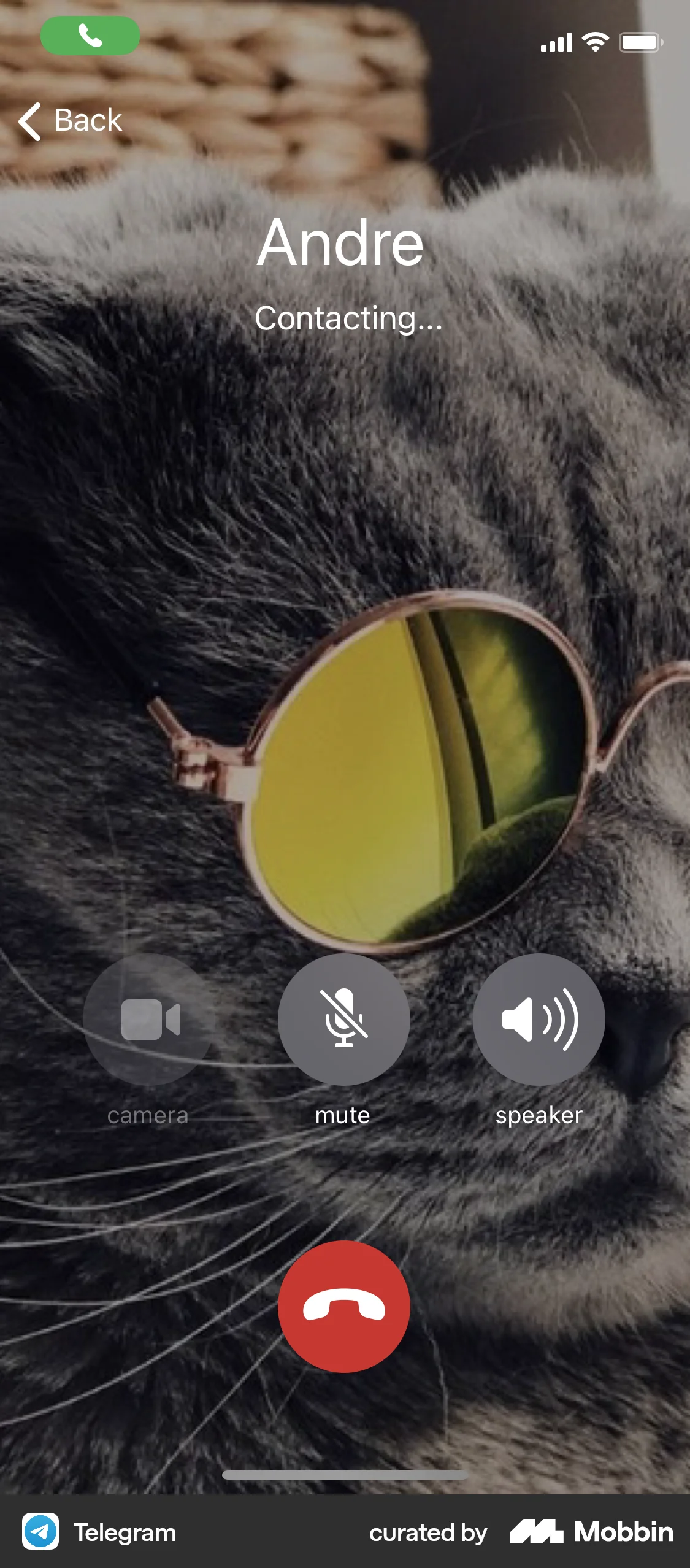 Telegram iOS Call screen