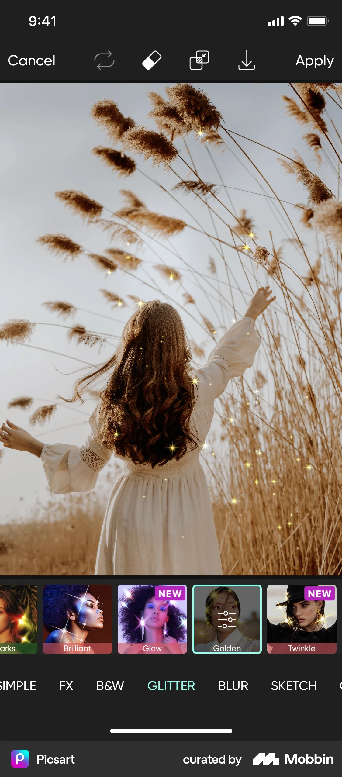 Picsart iOS Media Editor screen