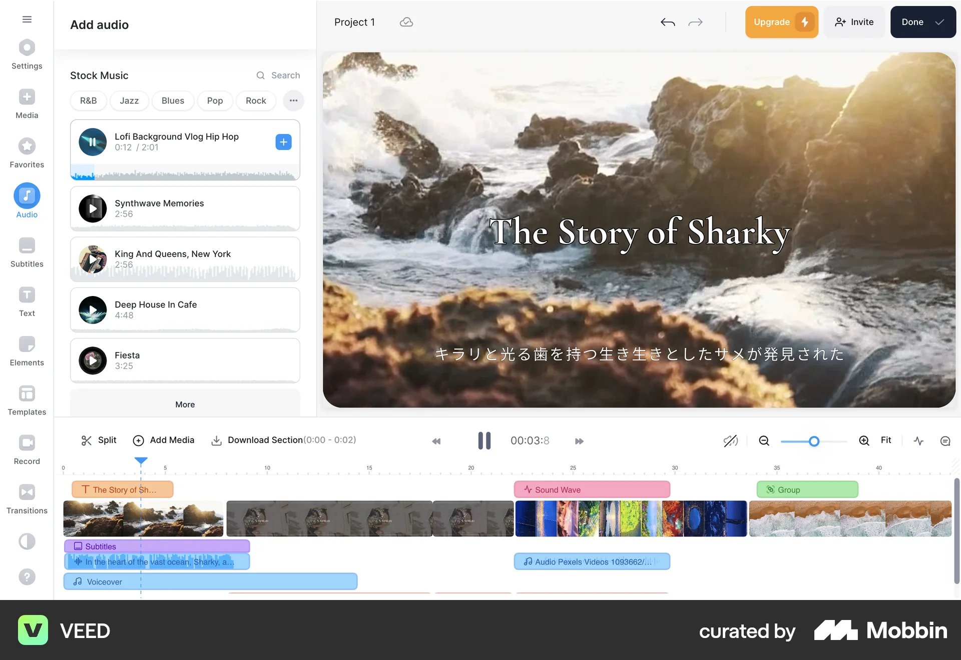 VEED Web Audio Player screen