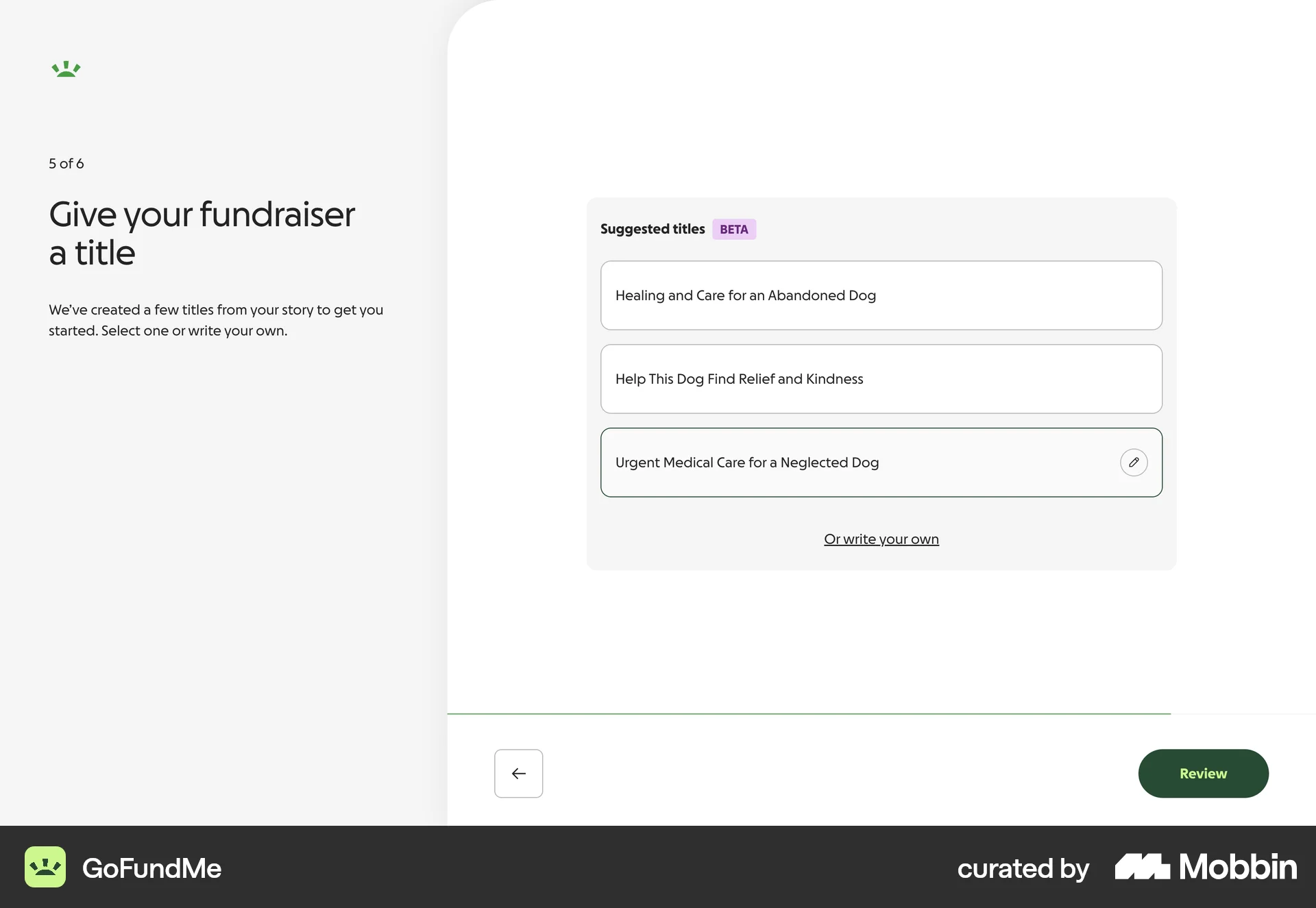GoFundMe Web Wizard UI screen