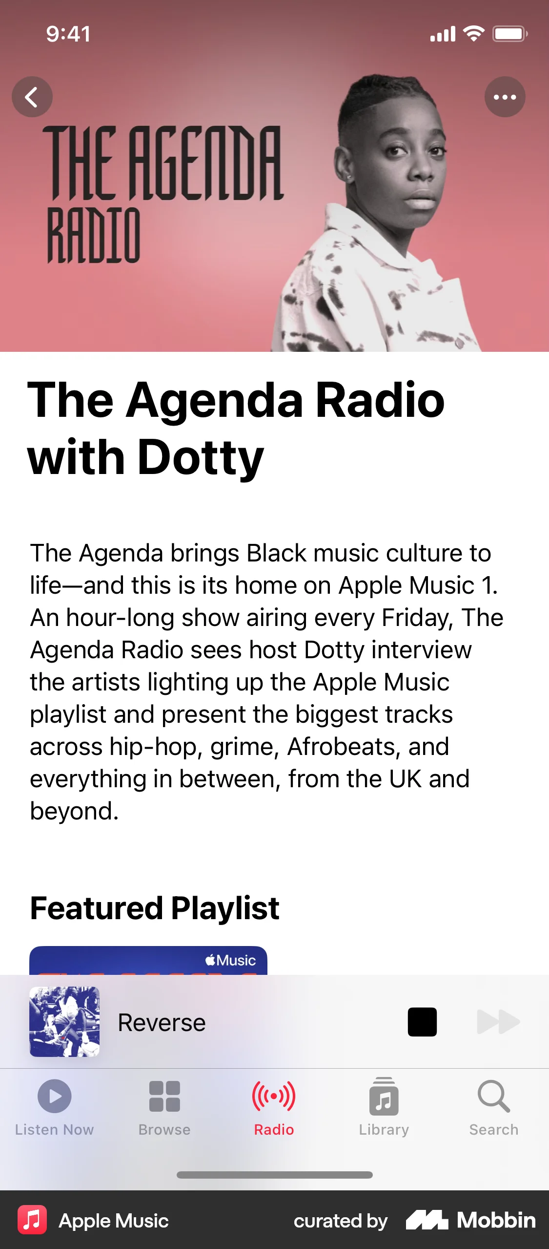 Apple Music iOS Song & Podcast Detail screen