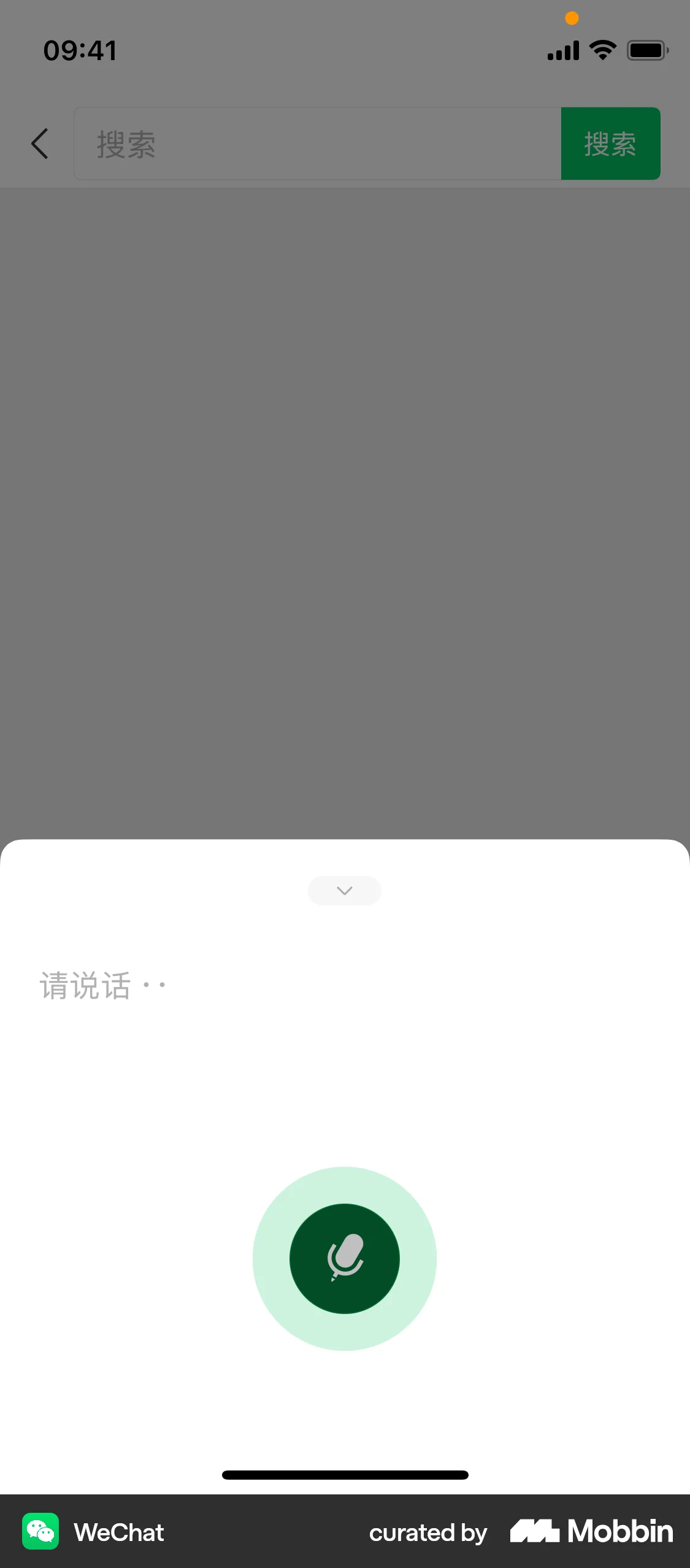 WeChat iOS Voice UI screen