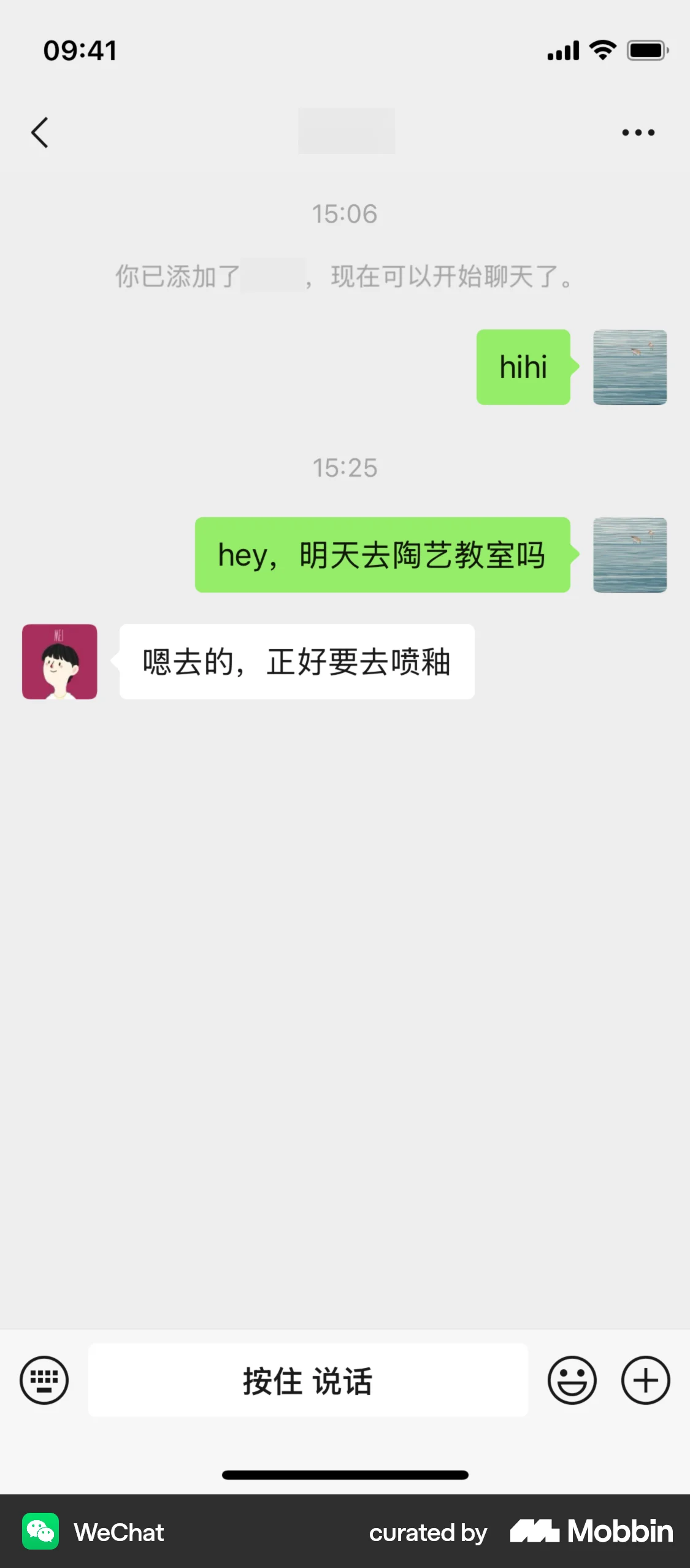 WeChat iOS Chat Detail screen