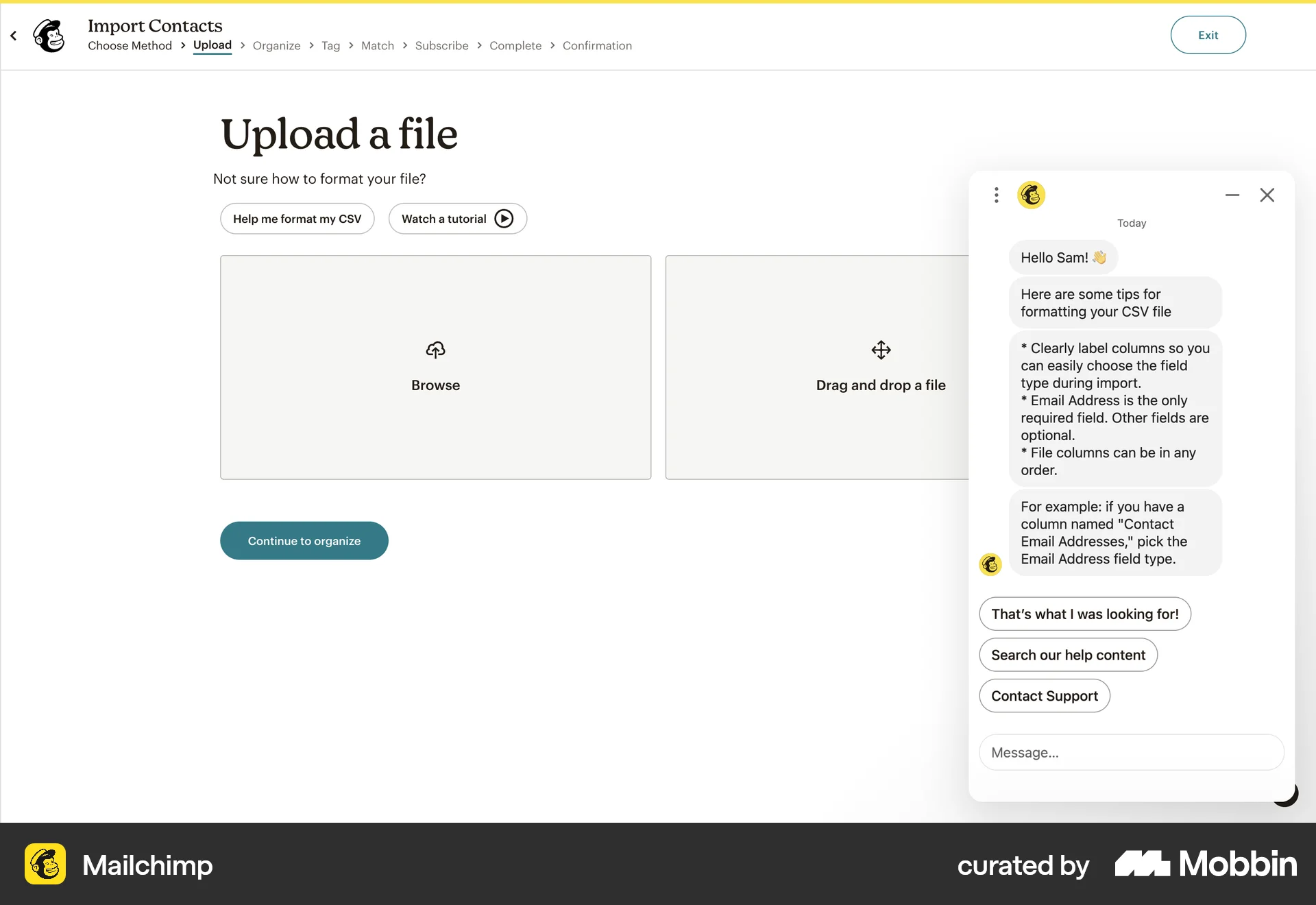 Mailchimp Web Chat Bot screen