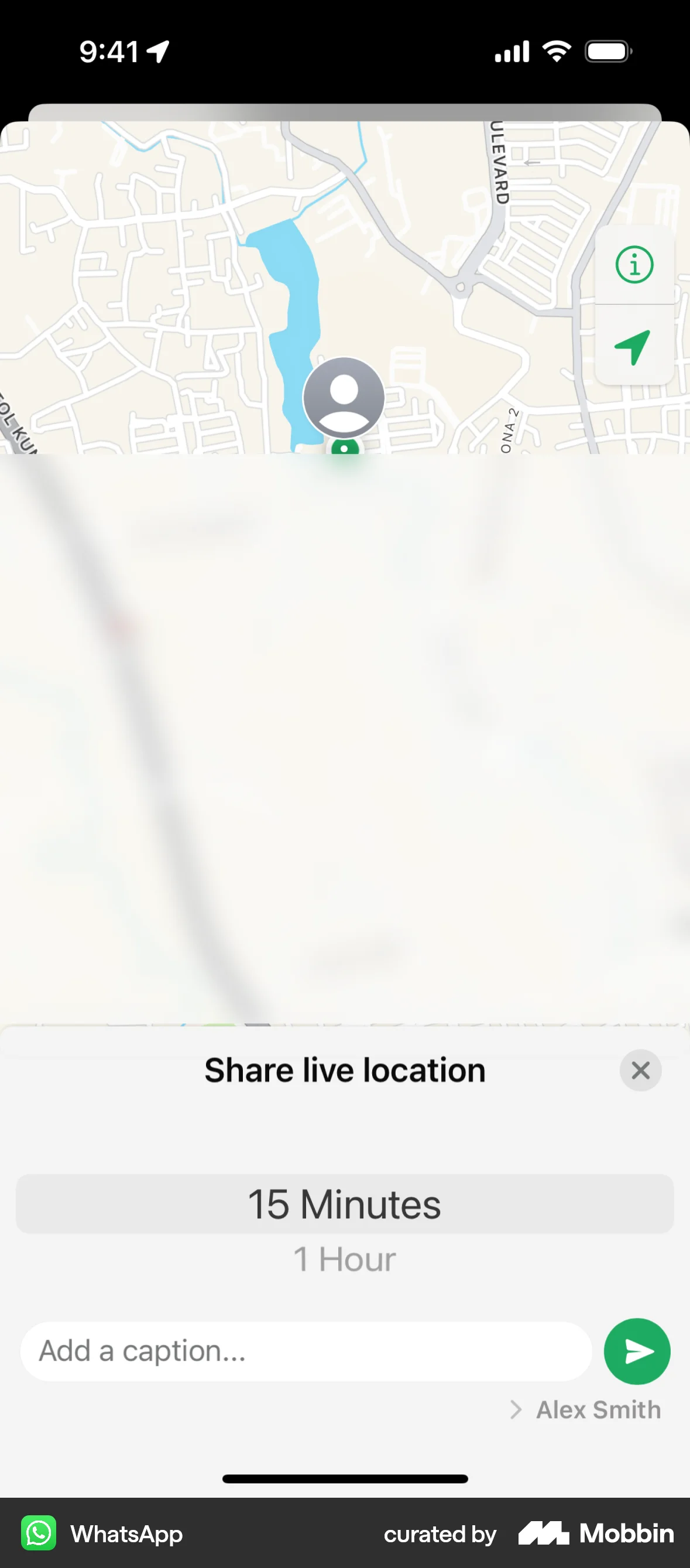 WhatsApp iOS Share screen