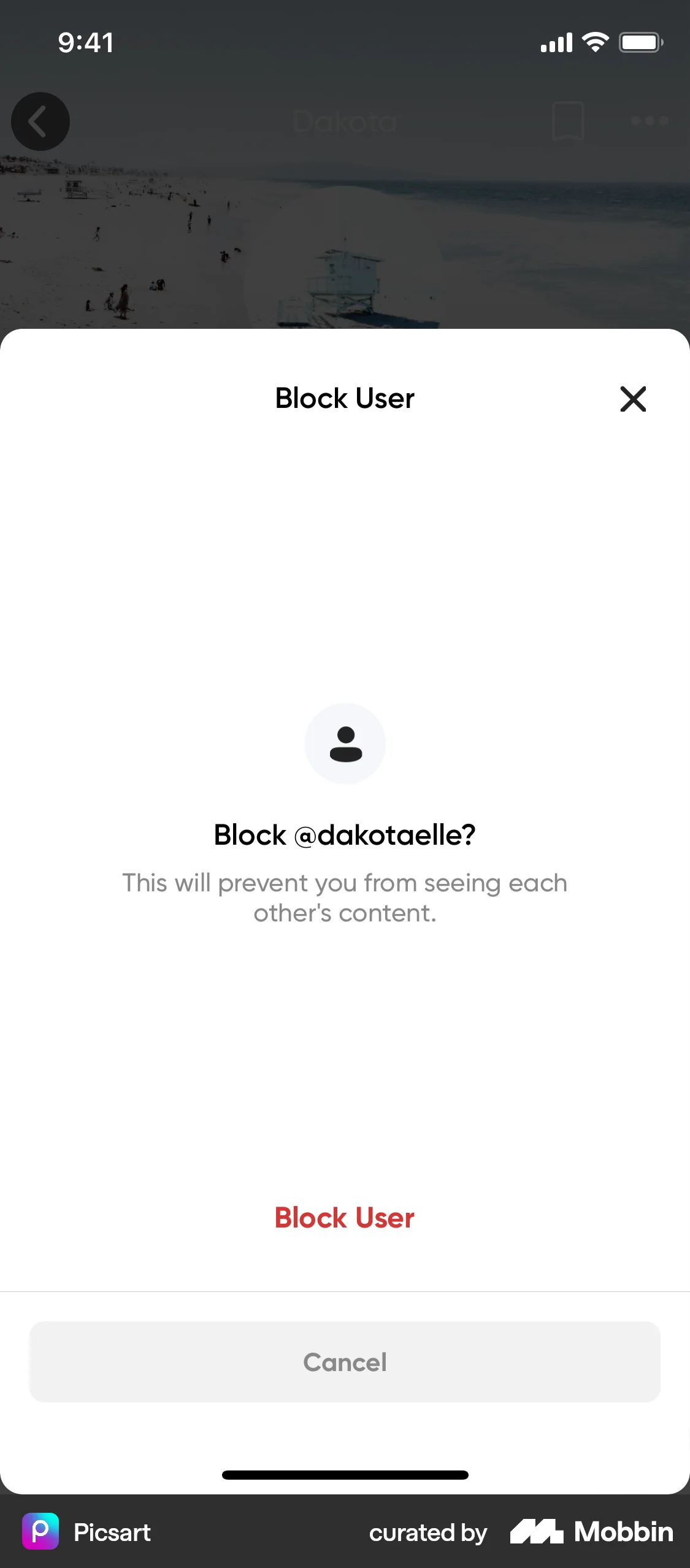 Picsart iOS Ban & Block screen