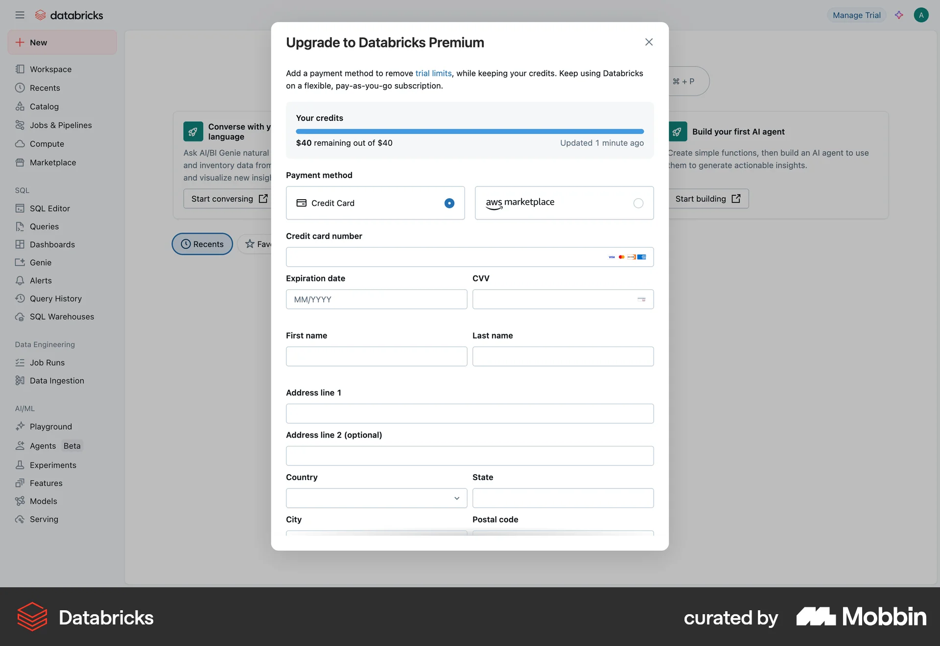Databricks Web Progress screen