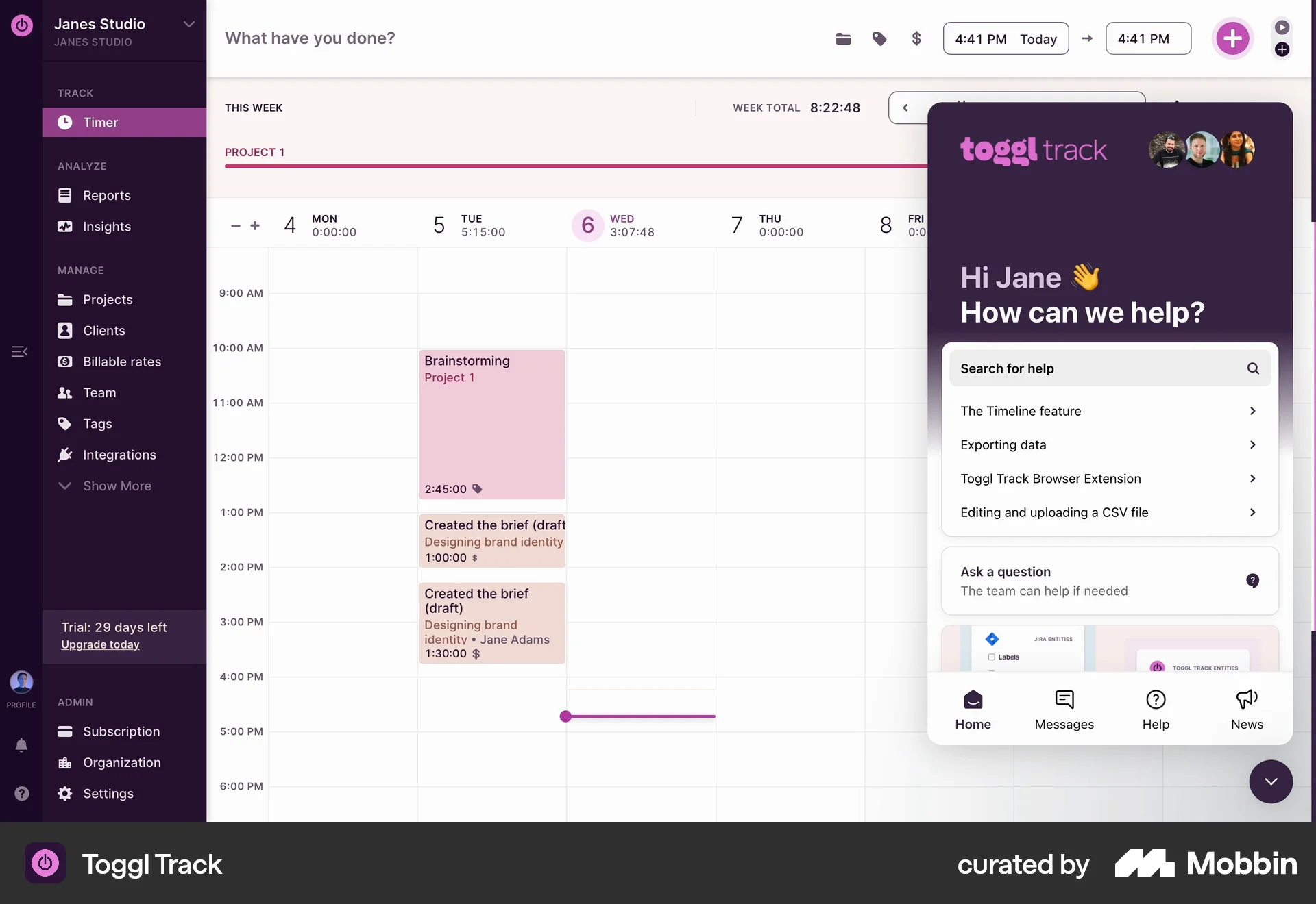Toggl Track Web Chat Bot screen