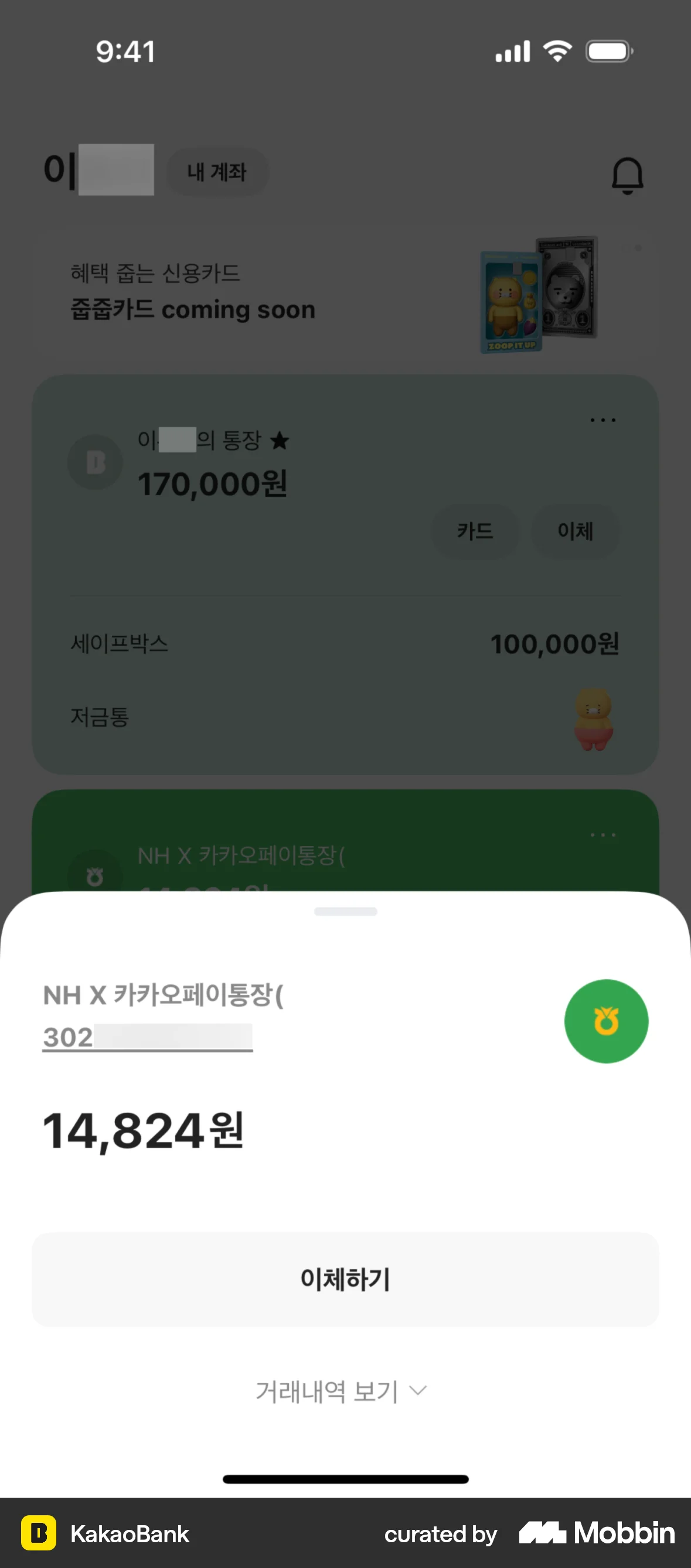 KakaoBank iOS Wallet & Balance screen