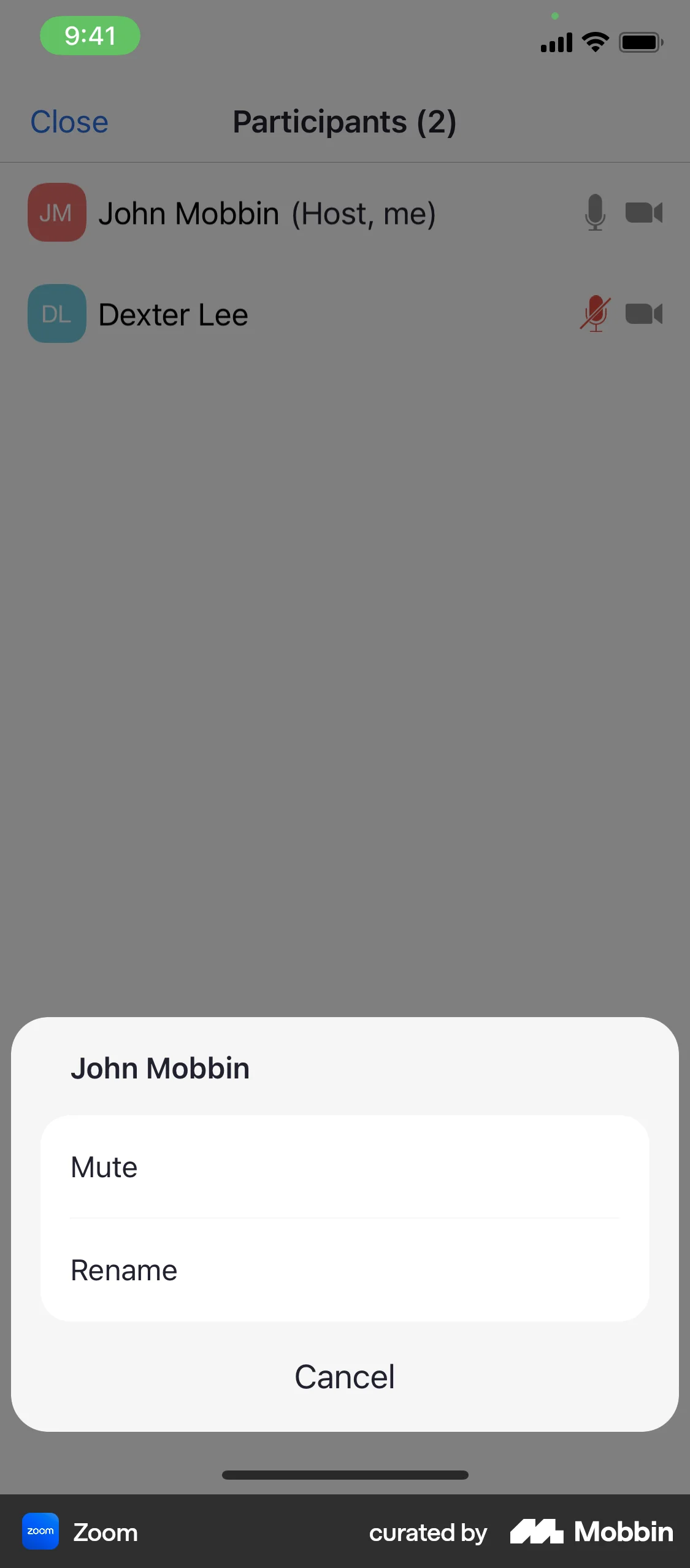 Zoom iOS screen containing Action Sheet UI element