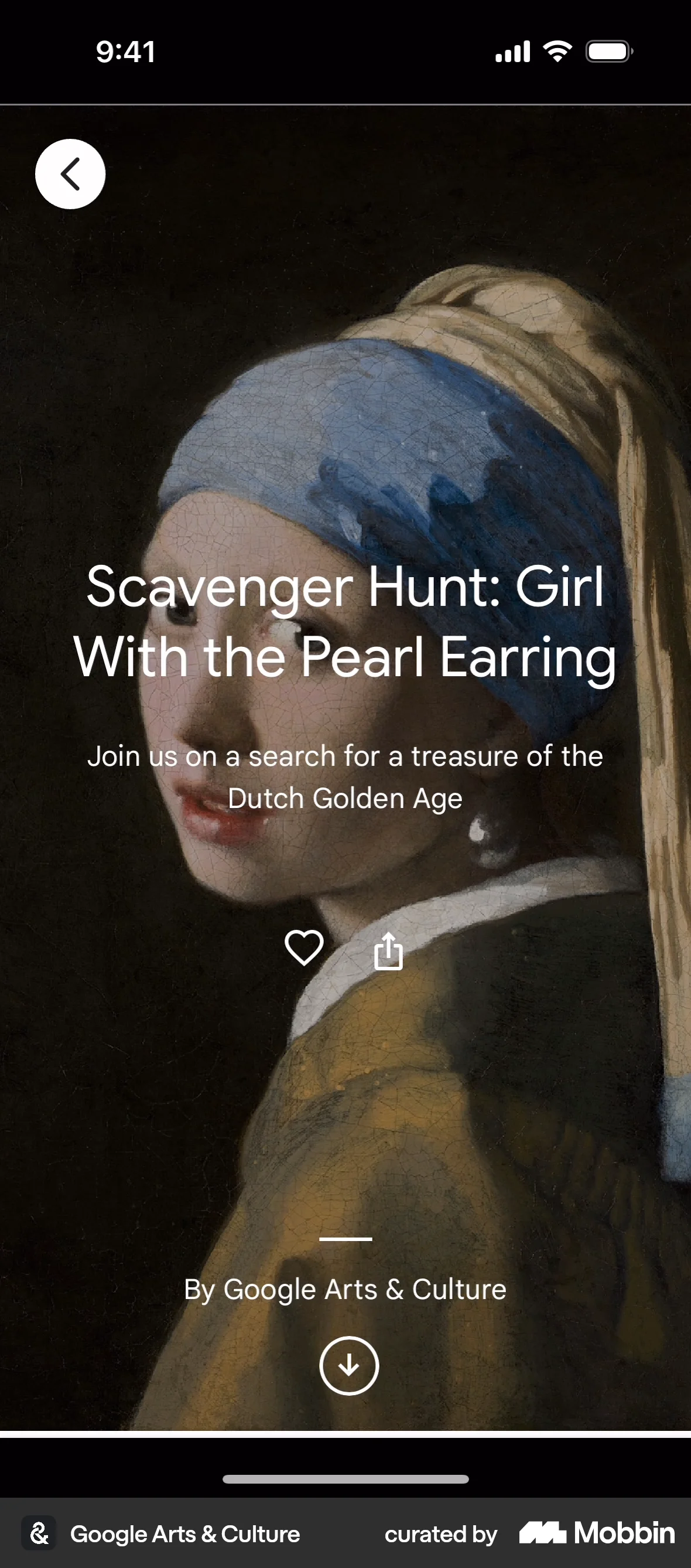 Google Arts & Culture iOS Post Detail screen