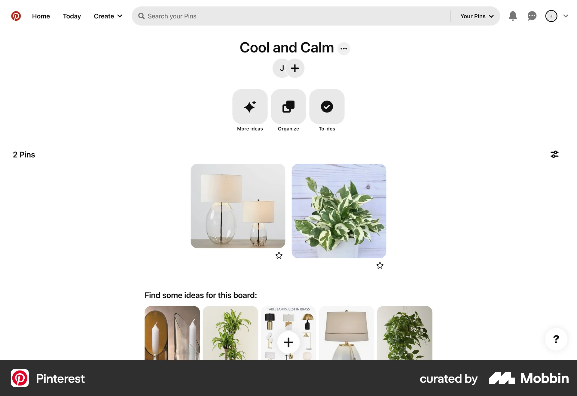 Pinterest Web Bookmarks & Collections screen
