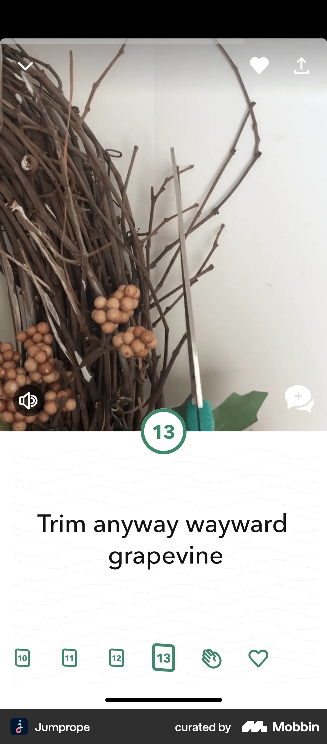 Jumprope iOS Photo & Video App screen