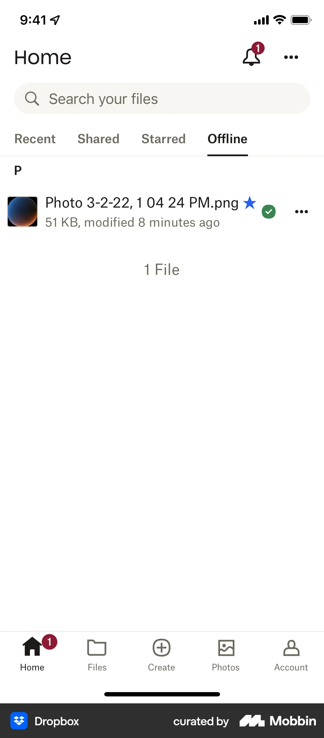 Dropbox iOS Downloads & Available Offline screen