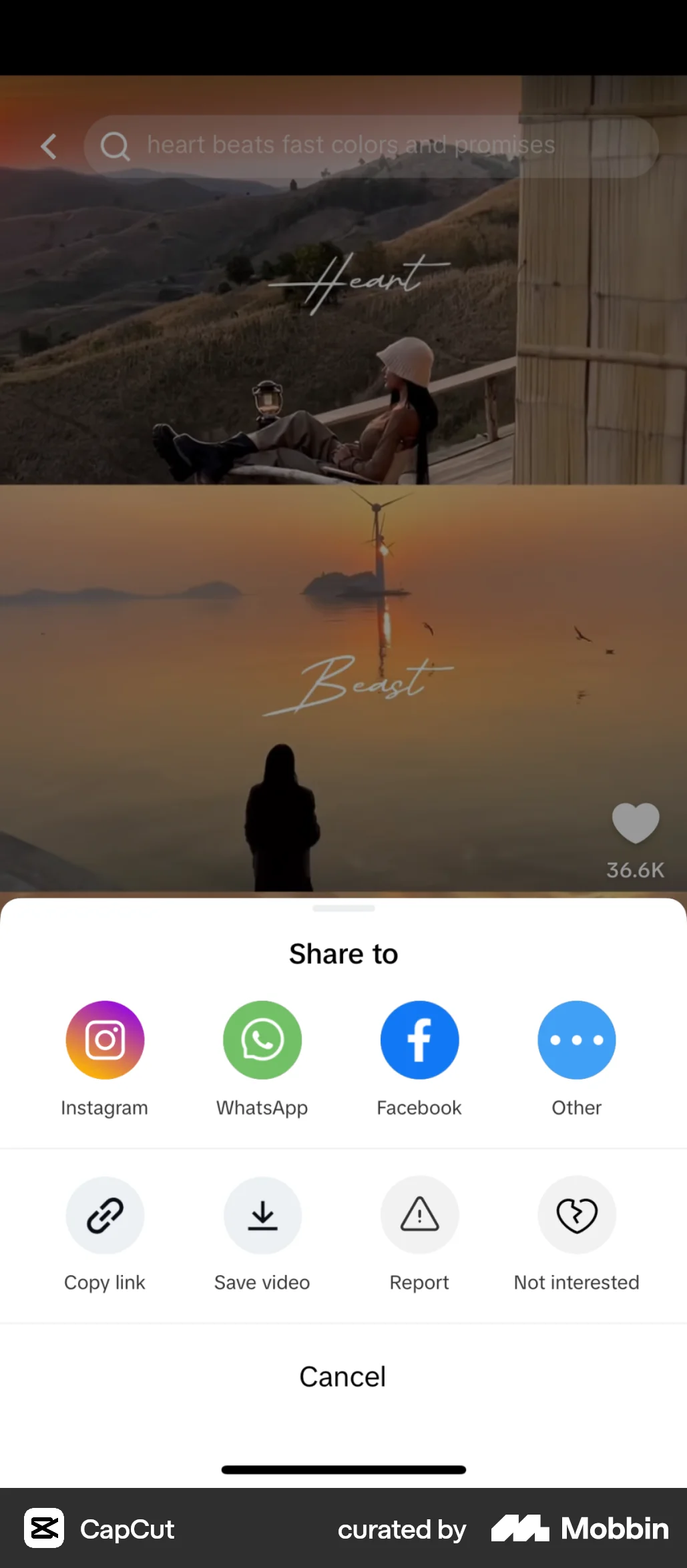 CapCut iOS Share screen