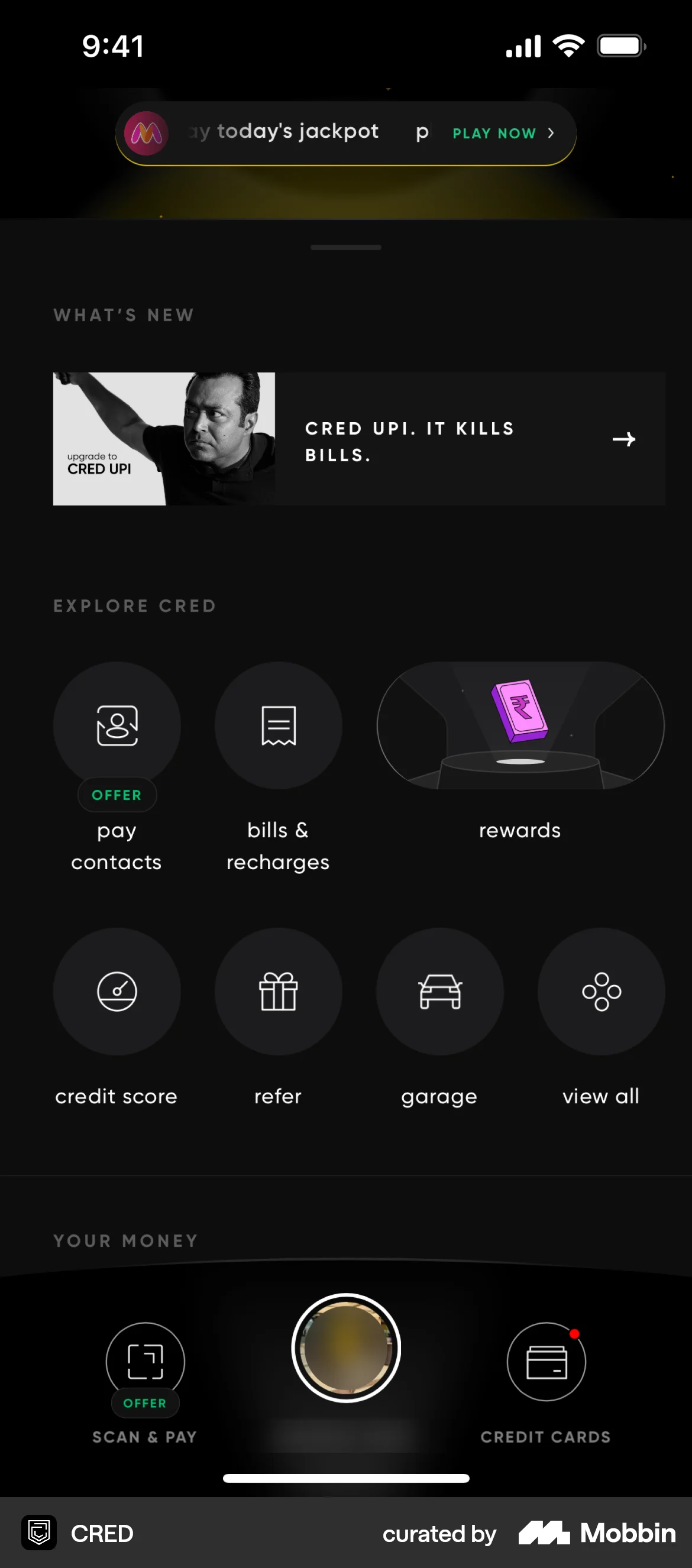 CRED iOS Bank App Design screen