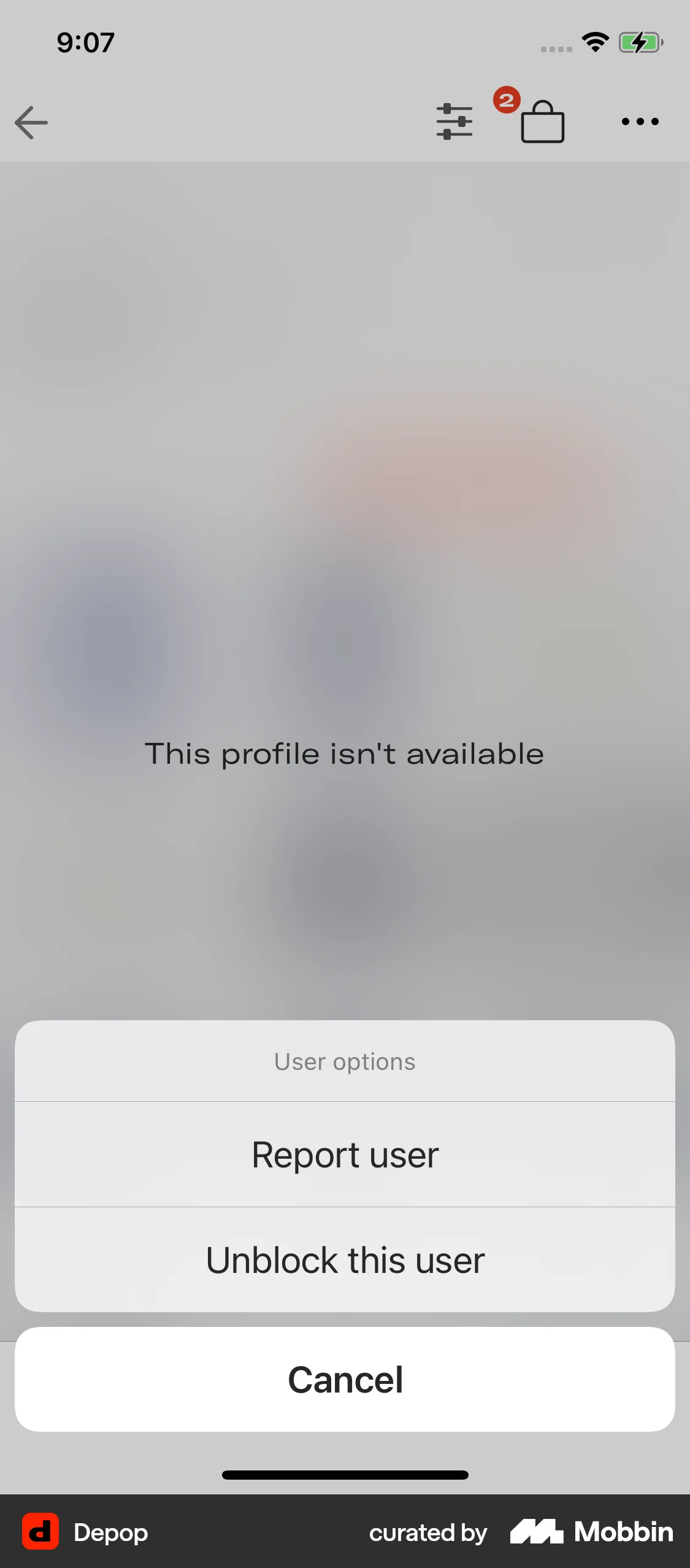 Depop iOS Ban & Block screen