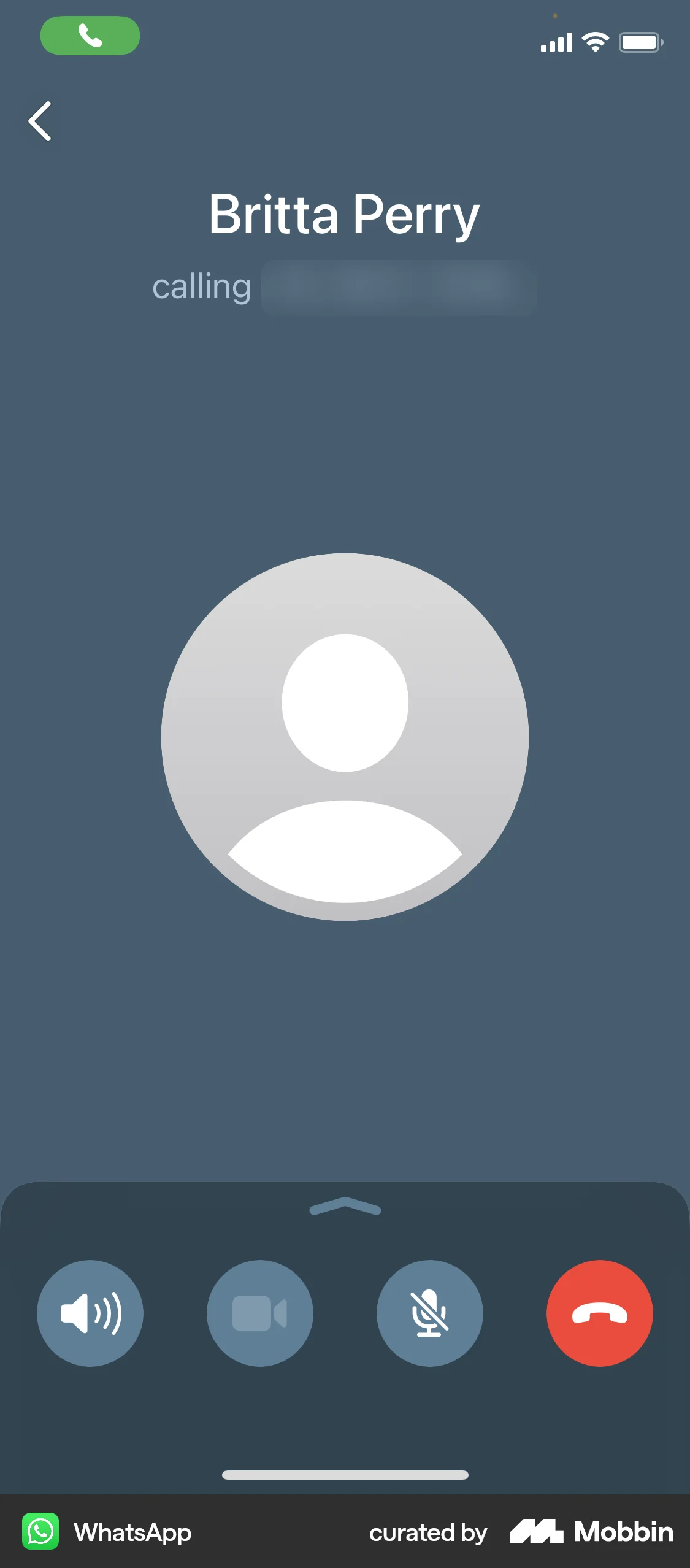 WhatsApp iOS Call screen