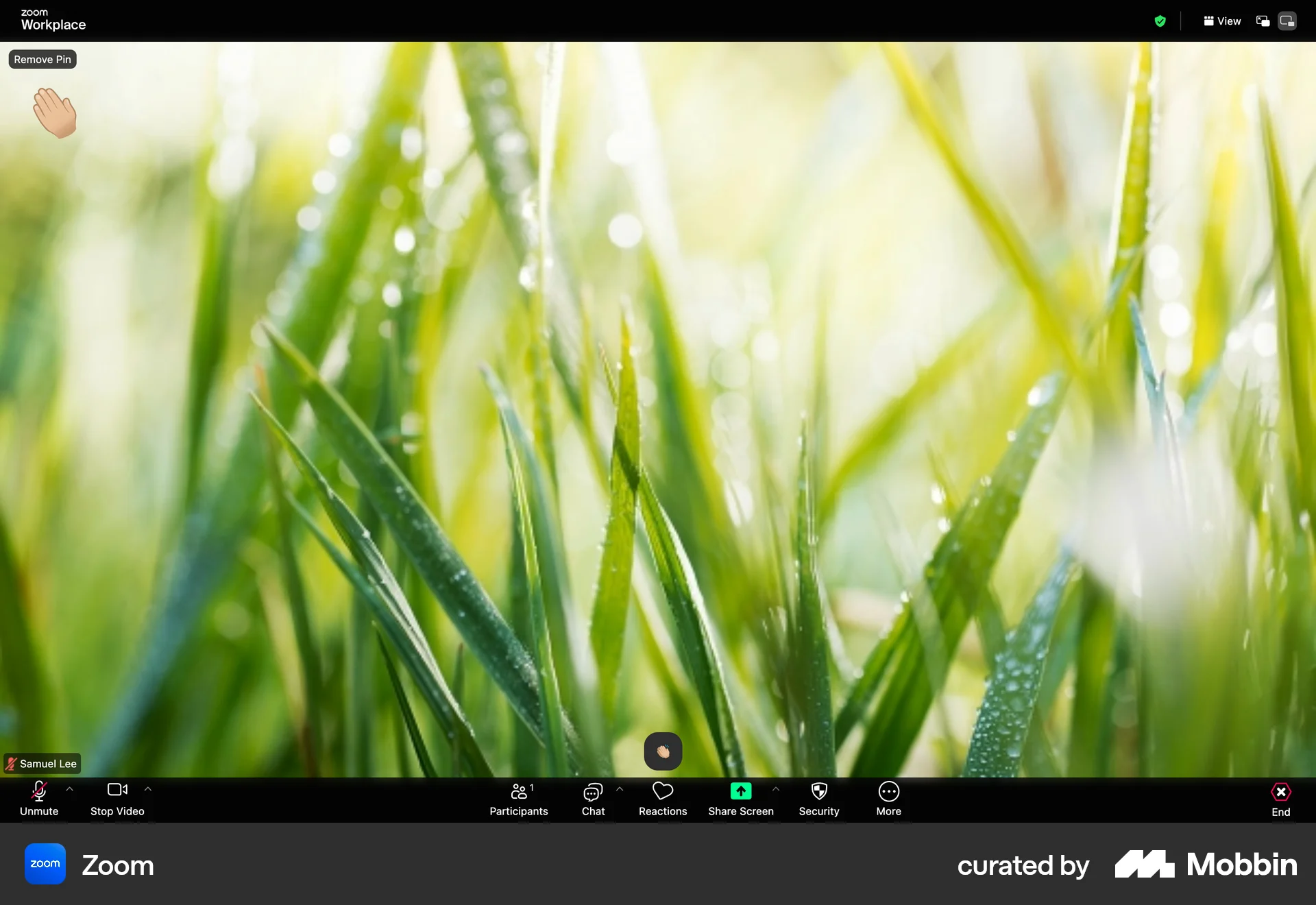 Zoom Web Like & Upvote screen