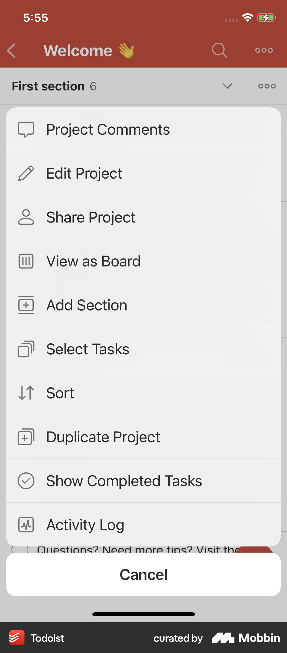 Todoist iOS Action Option screen