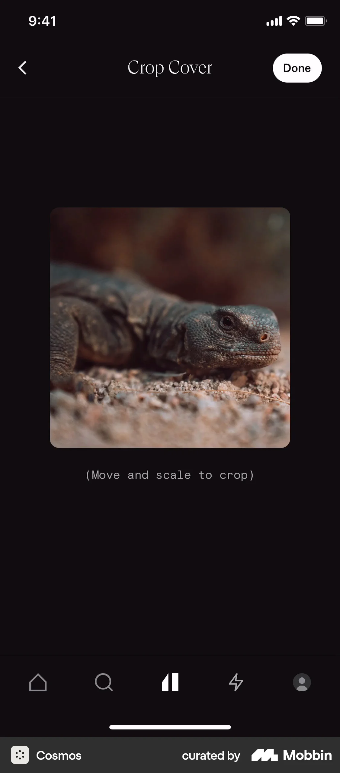 Cosmos iOS Media Editor screen
