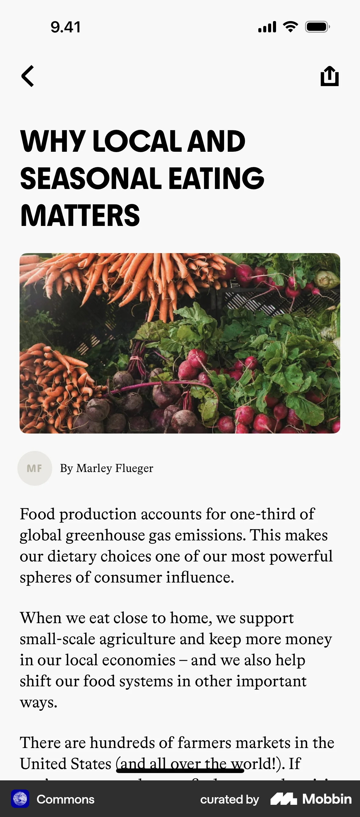 Commons iOS Article Detail screen
