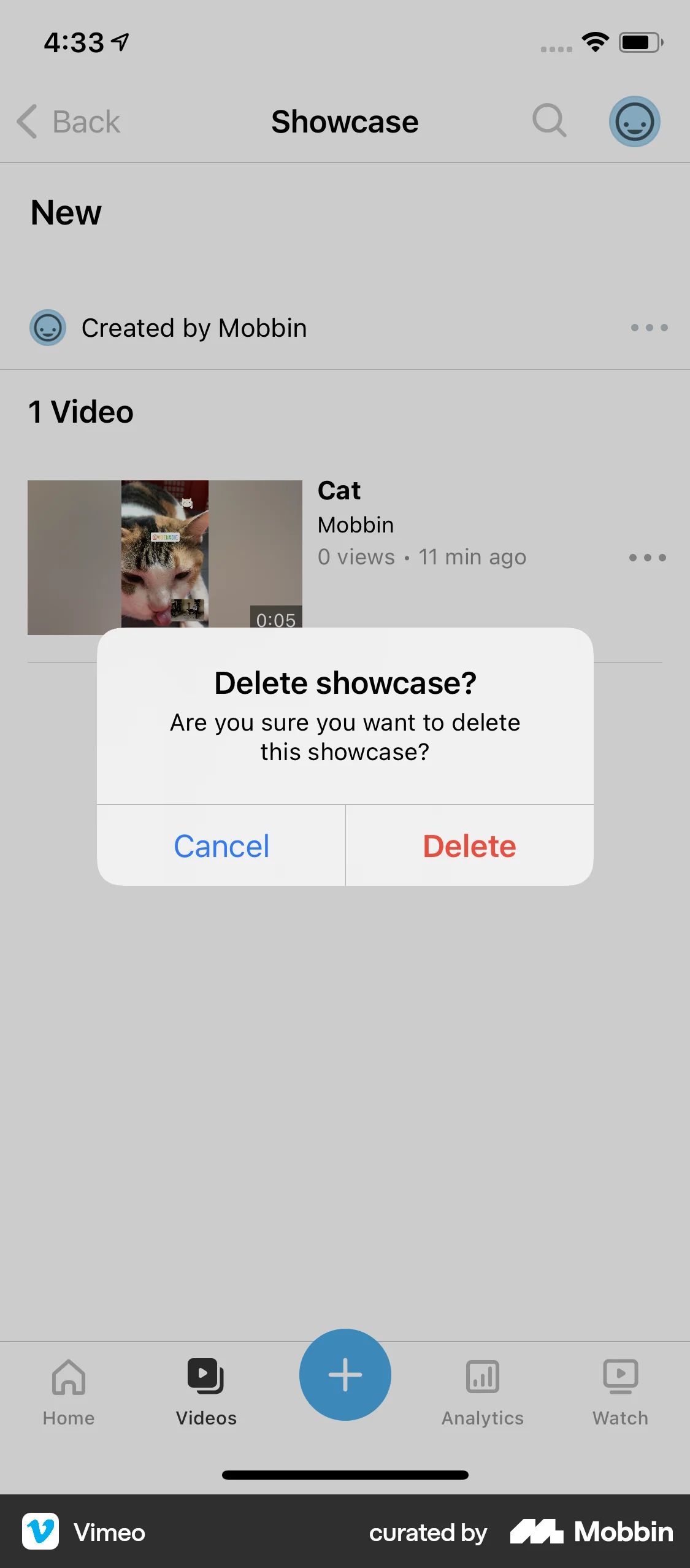 Vimeo iOS Delete screen