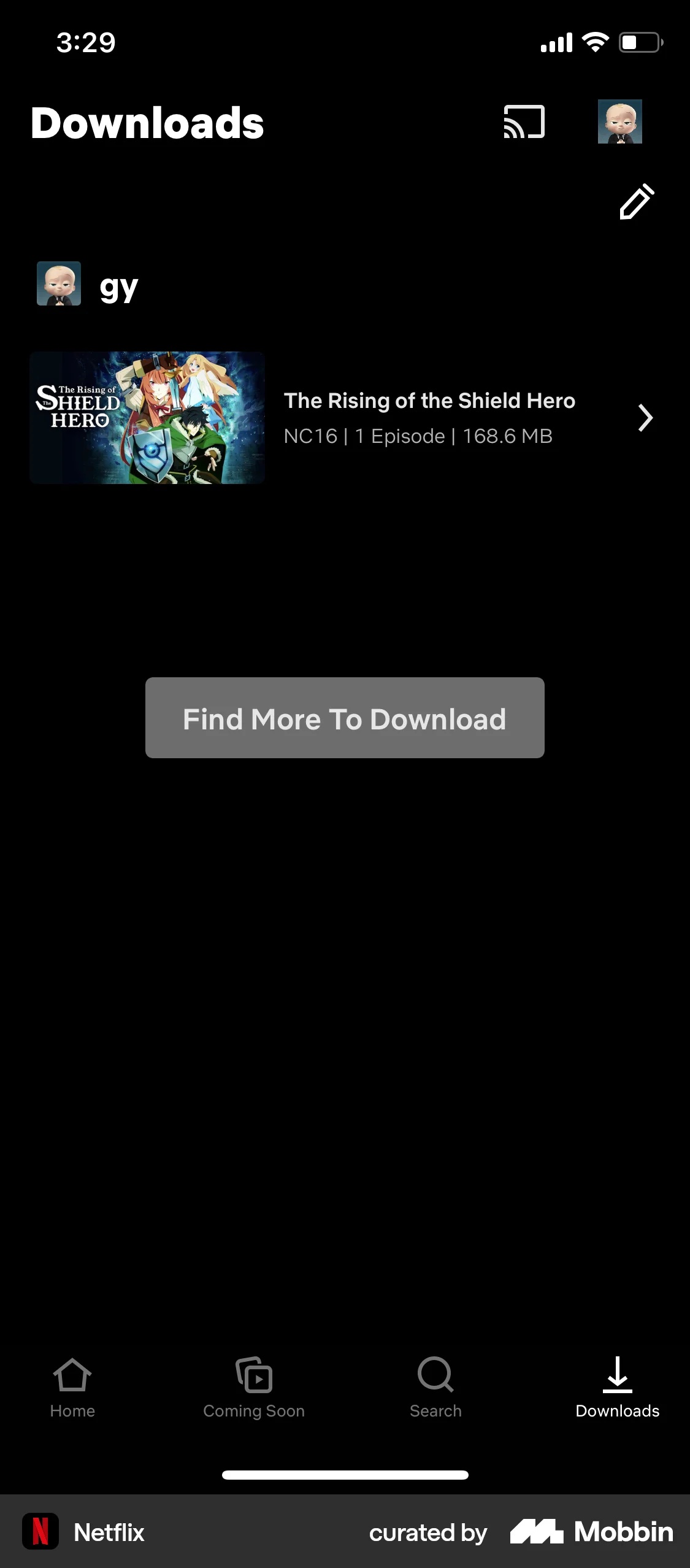 Netflix iOS Downloads & Available Offline screen