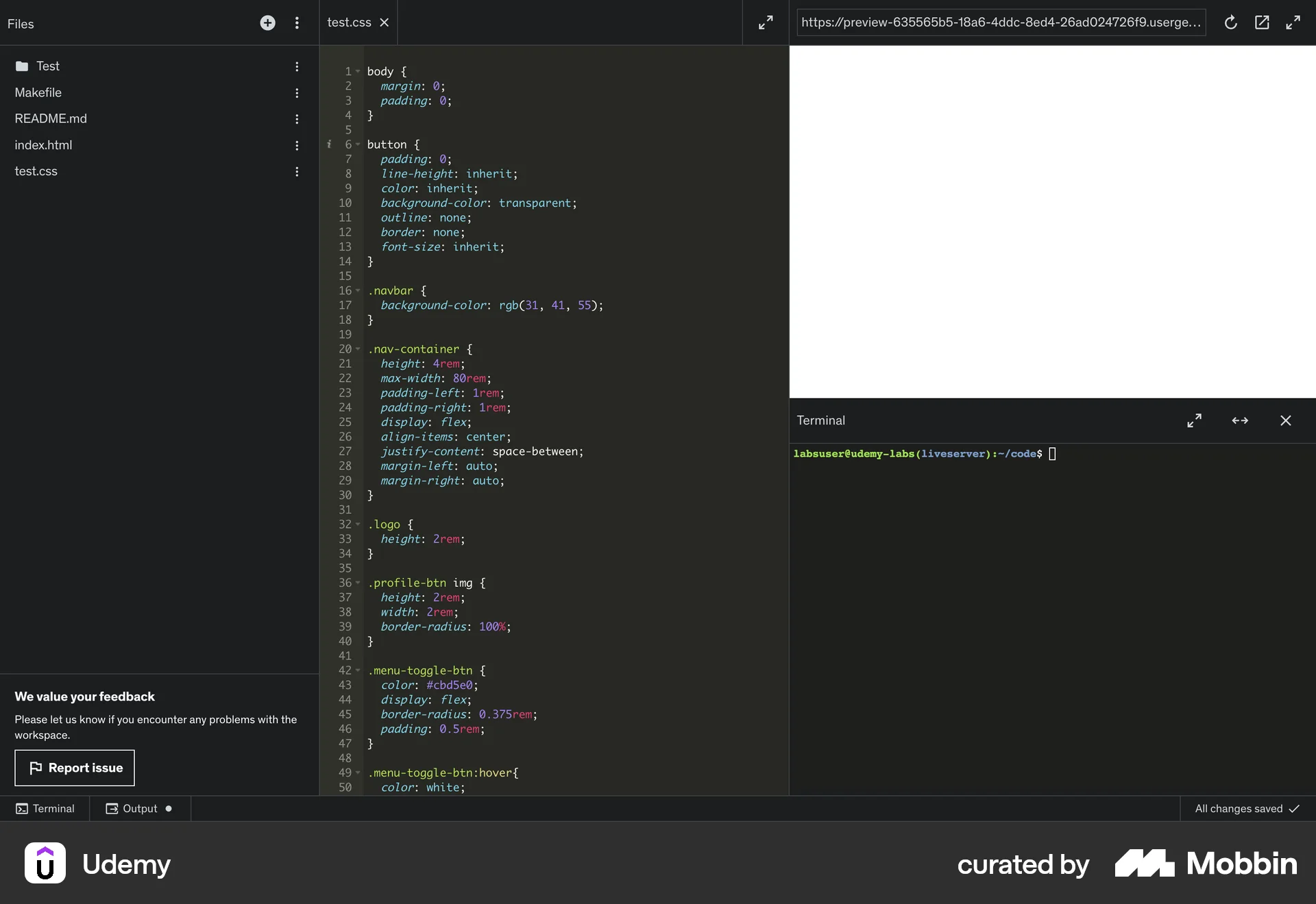Udemy Web Code Editor screen