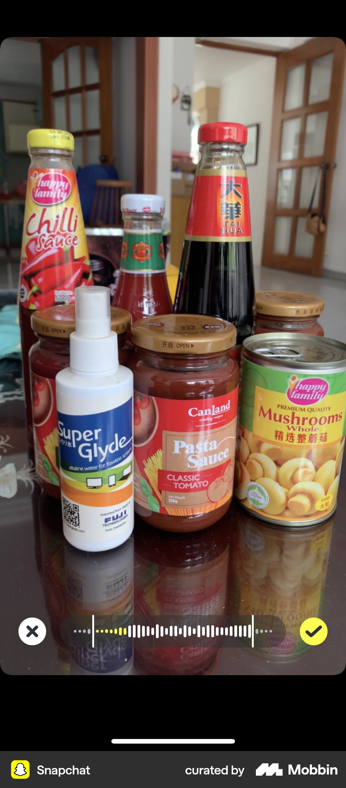 Snapchat iOS Audio Player screen