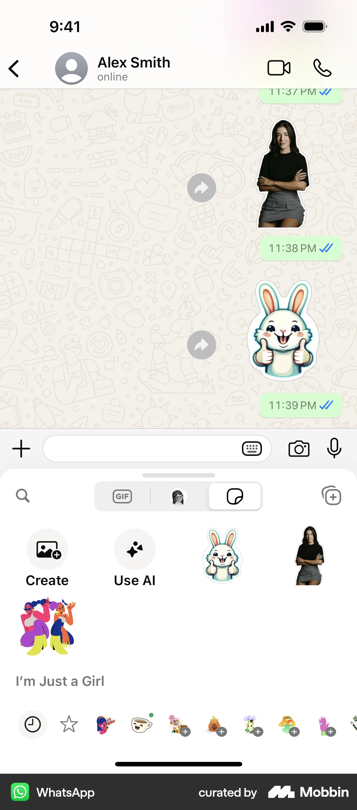 WhatsApp iOS Chat Detail screen