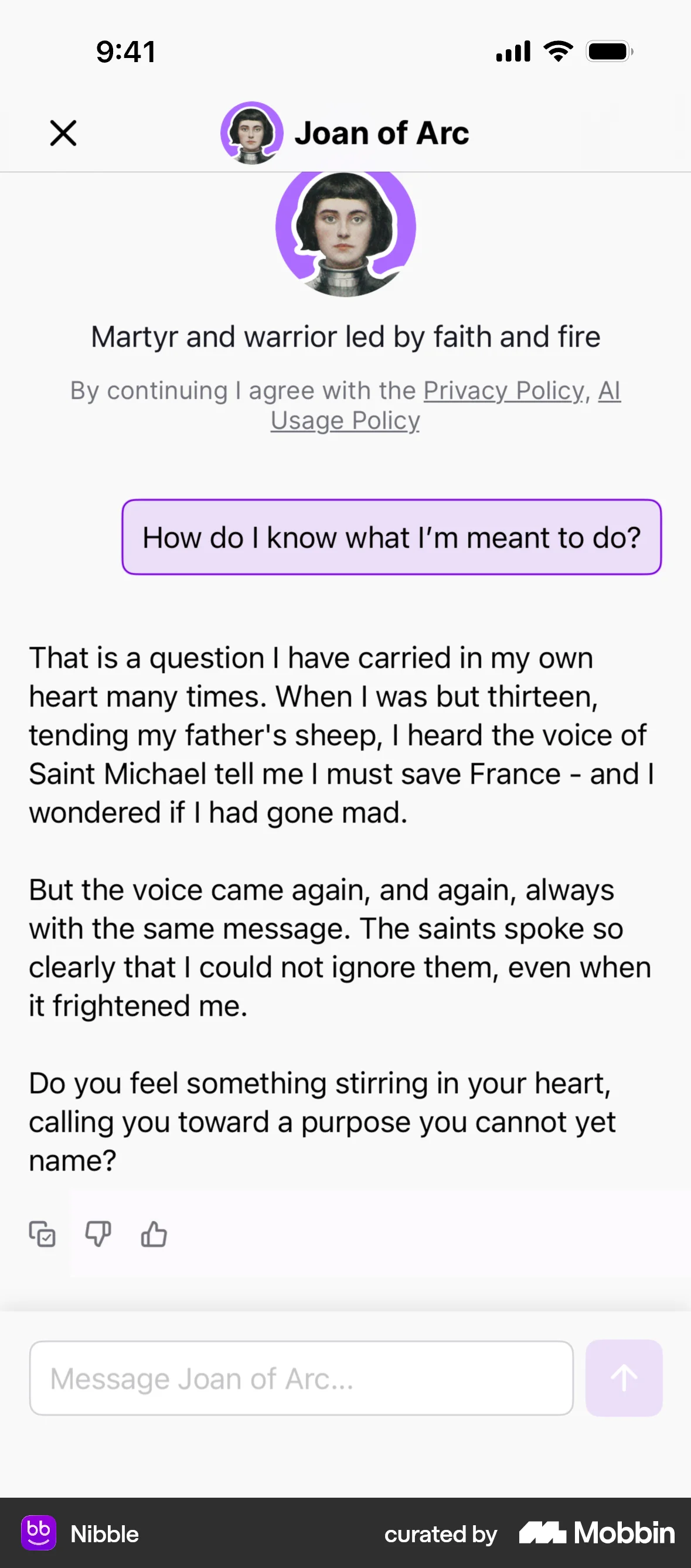 Nibble iOS Chat Detail screen