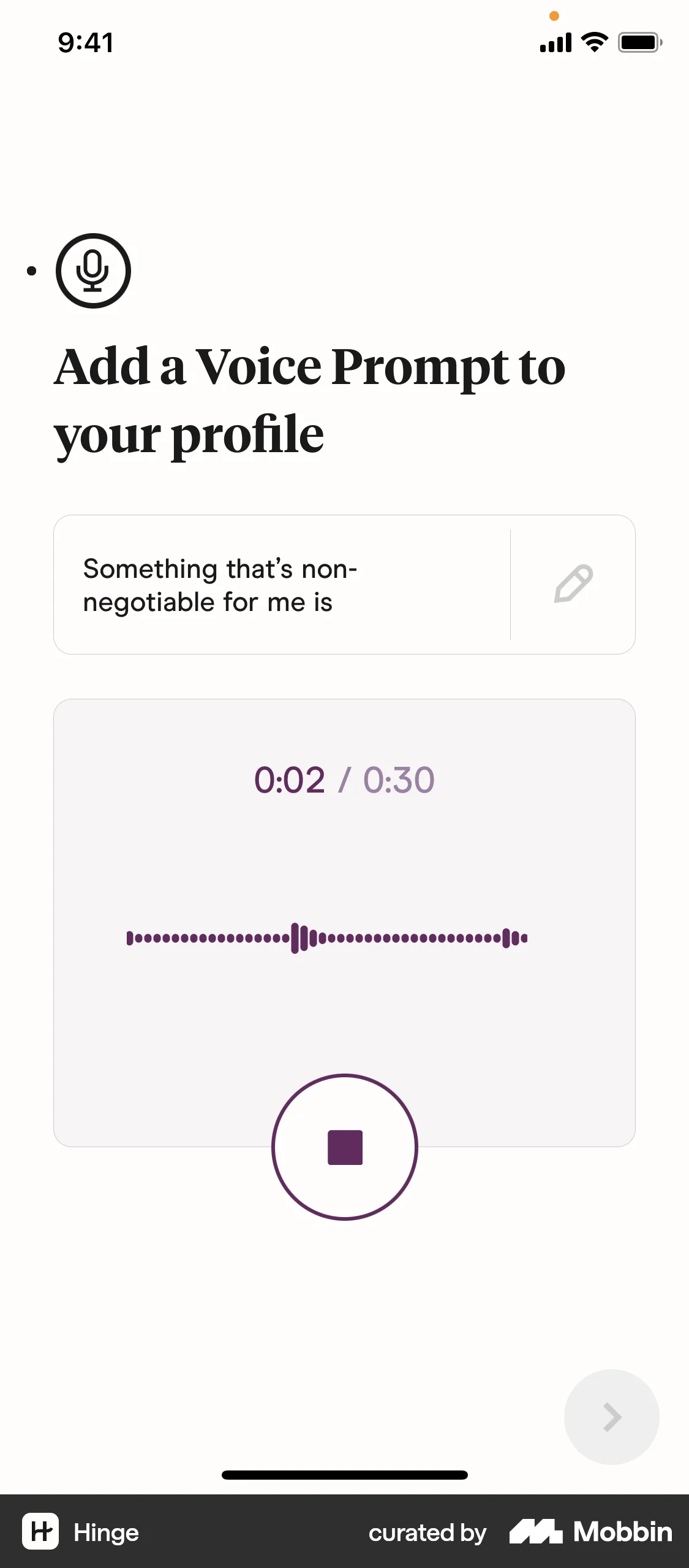 Hinge iOS Audio & Video Recorder screen